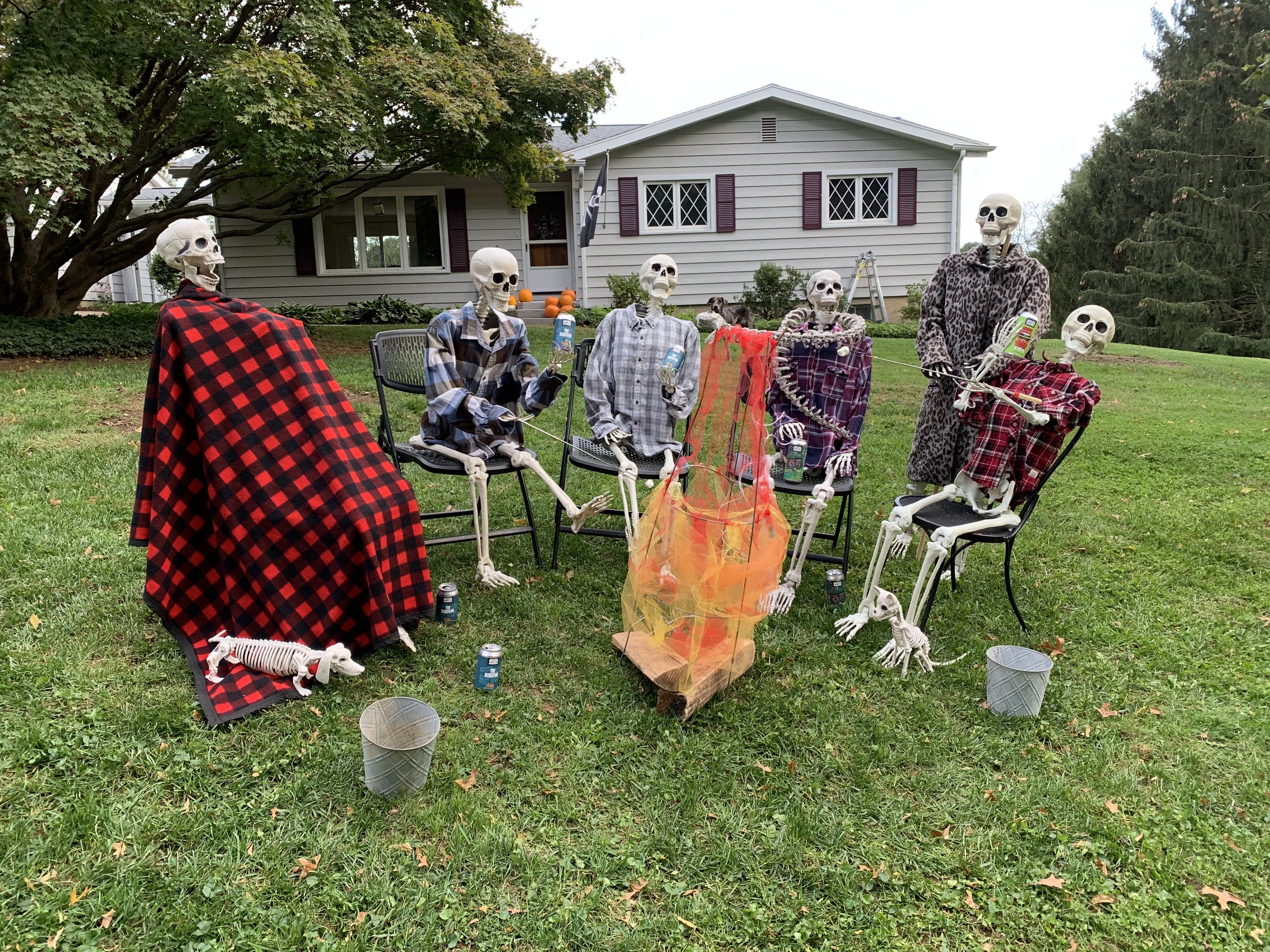 WCskeletons