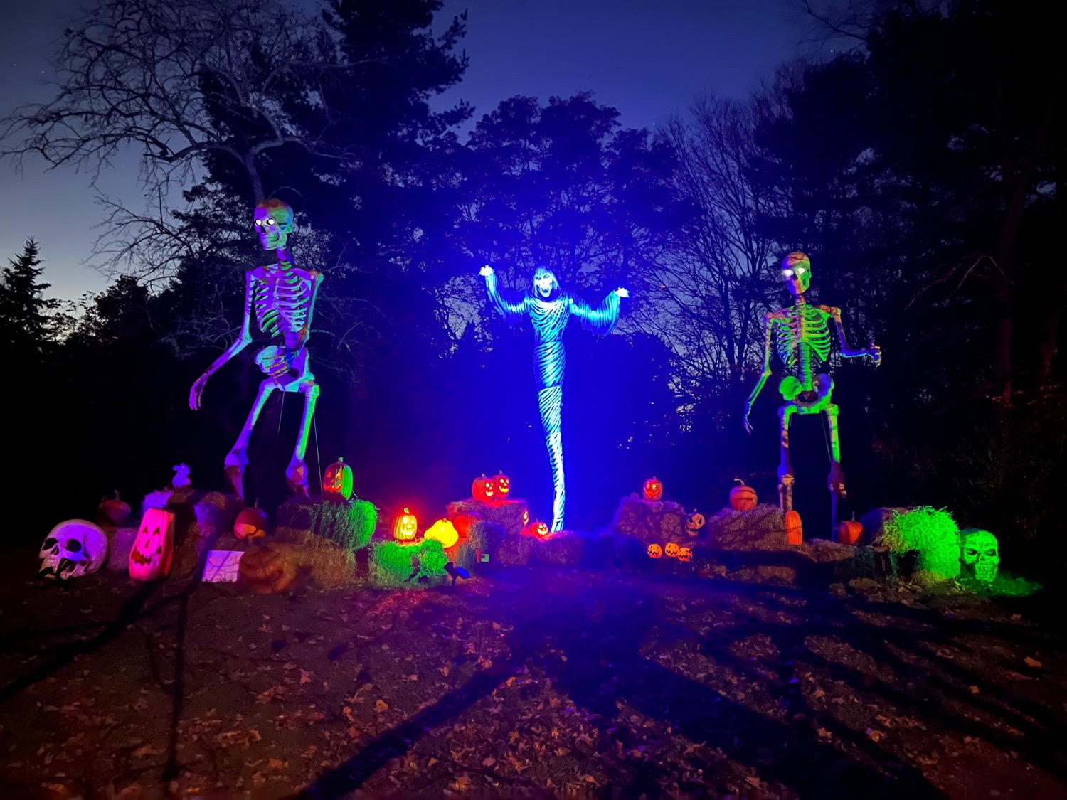 briggs Trail of Terror