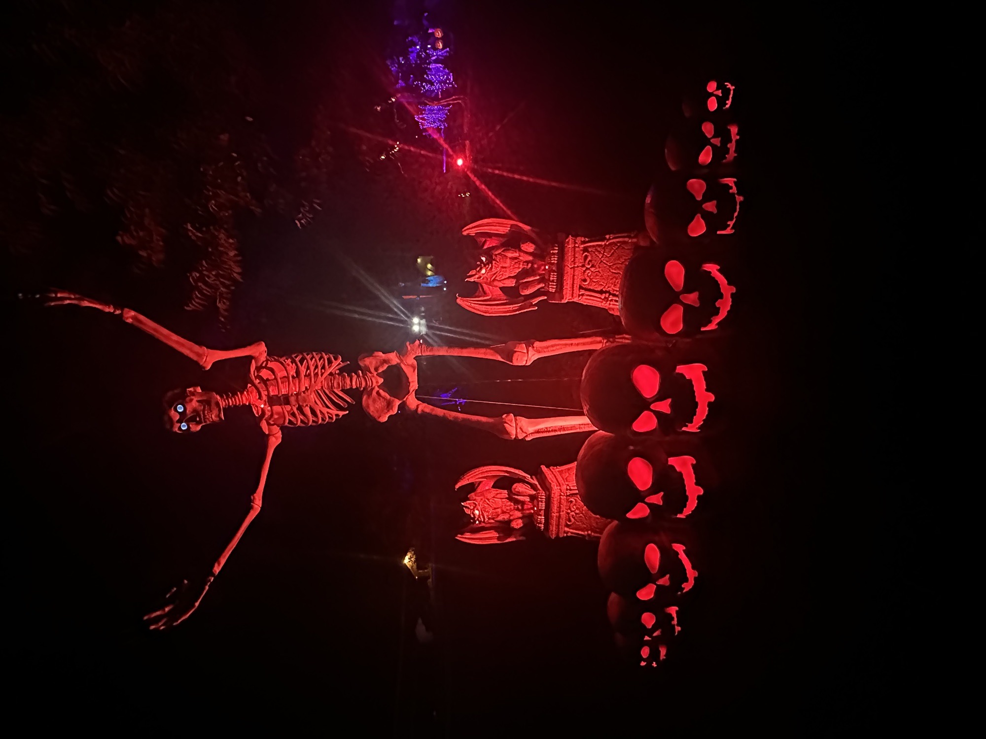 Halloween Fun