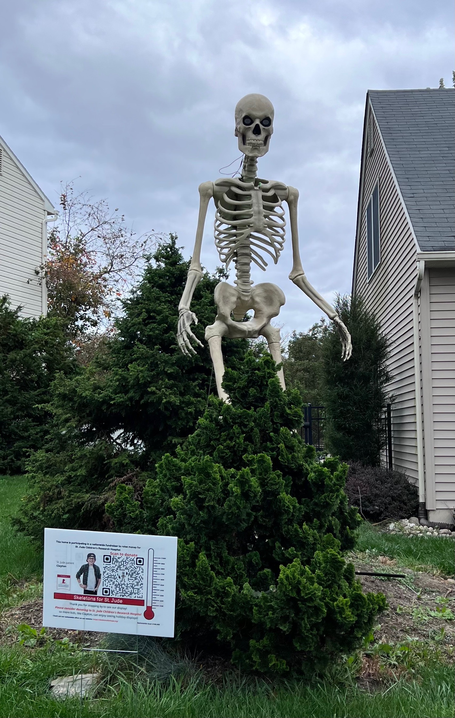 Skelly for St. Jude Palmer/Easton