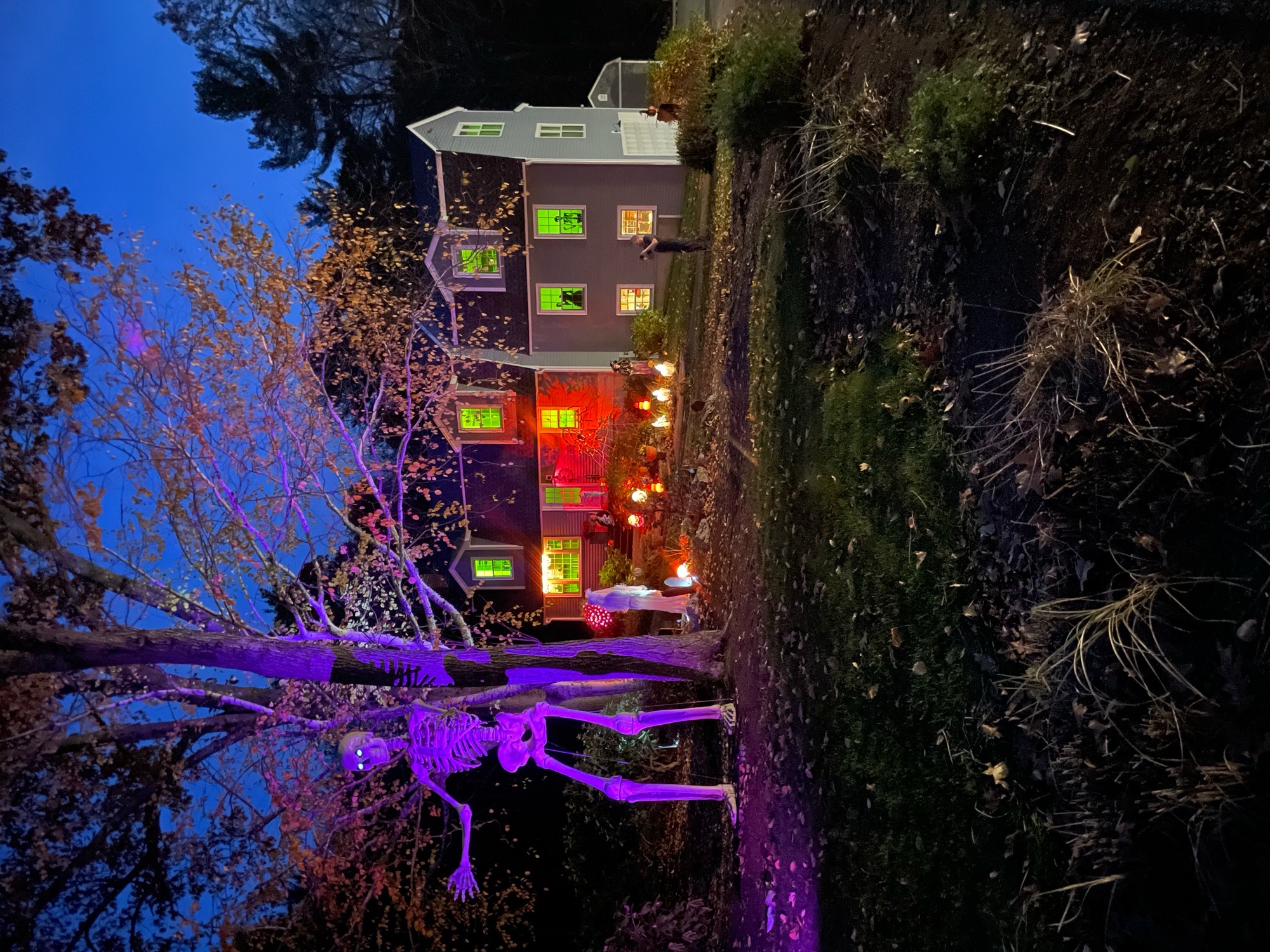 Happy Hauntings House