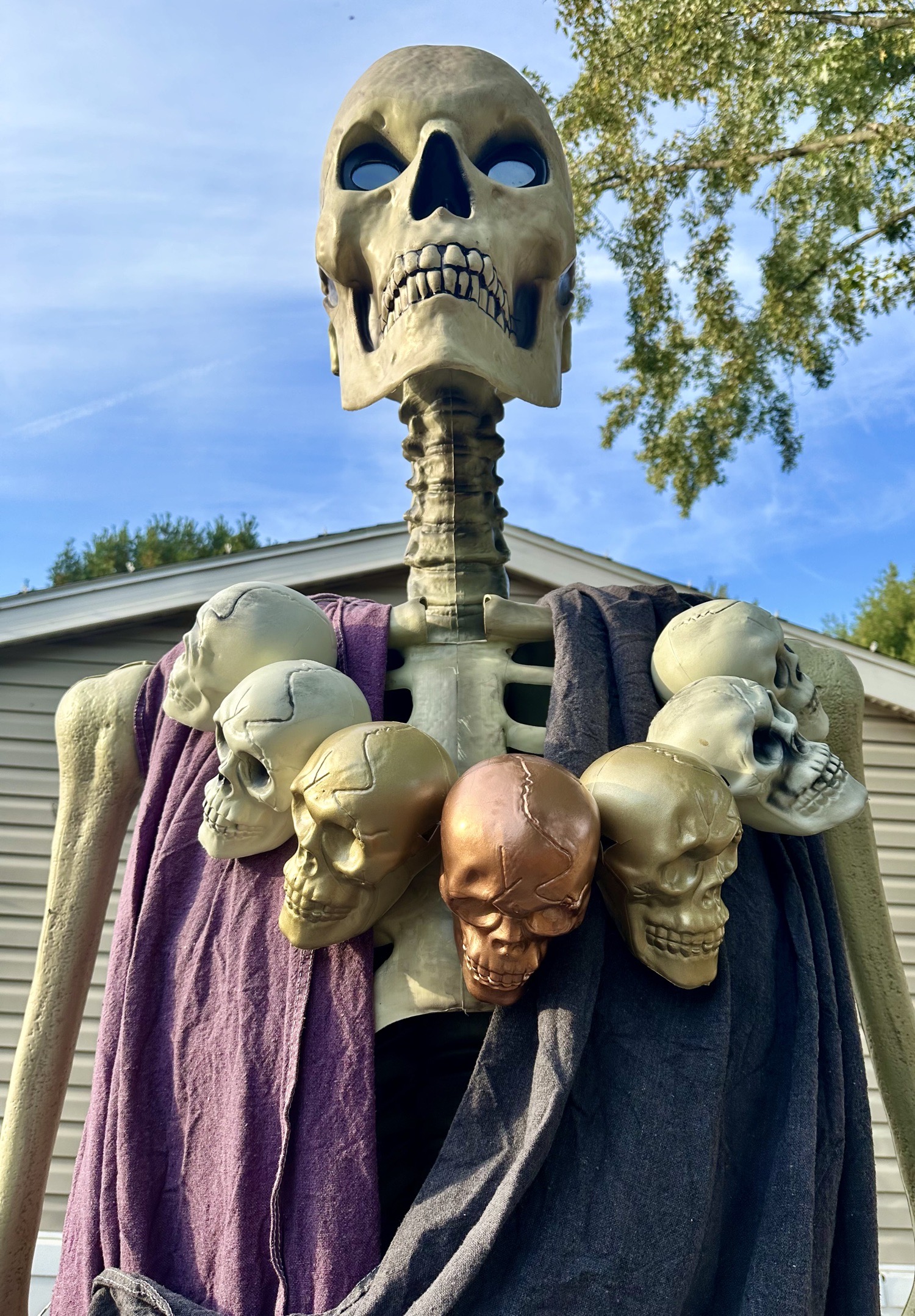 Buddha Skelly