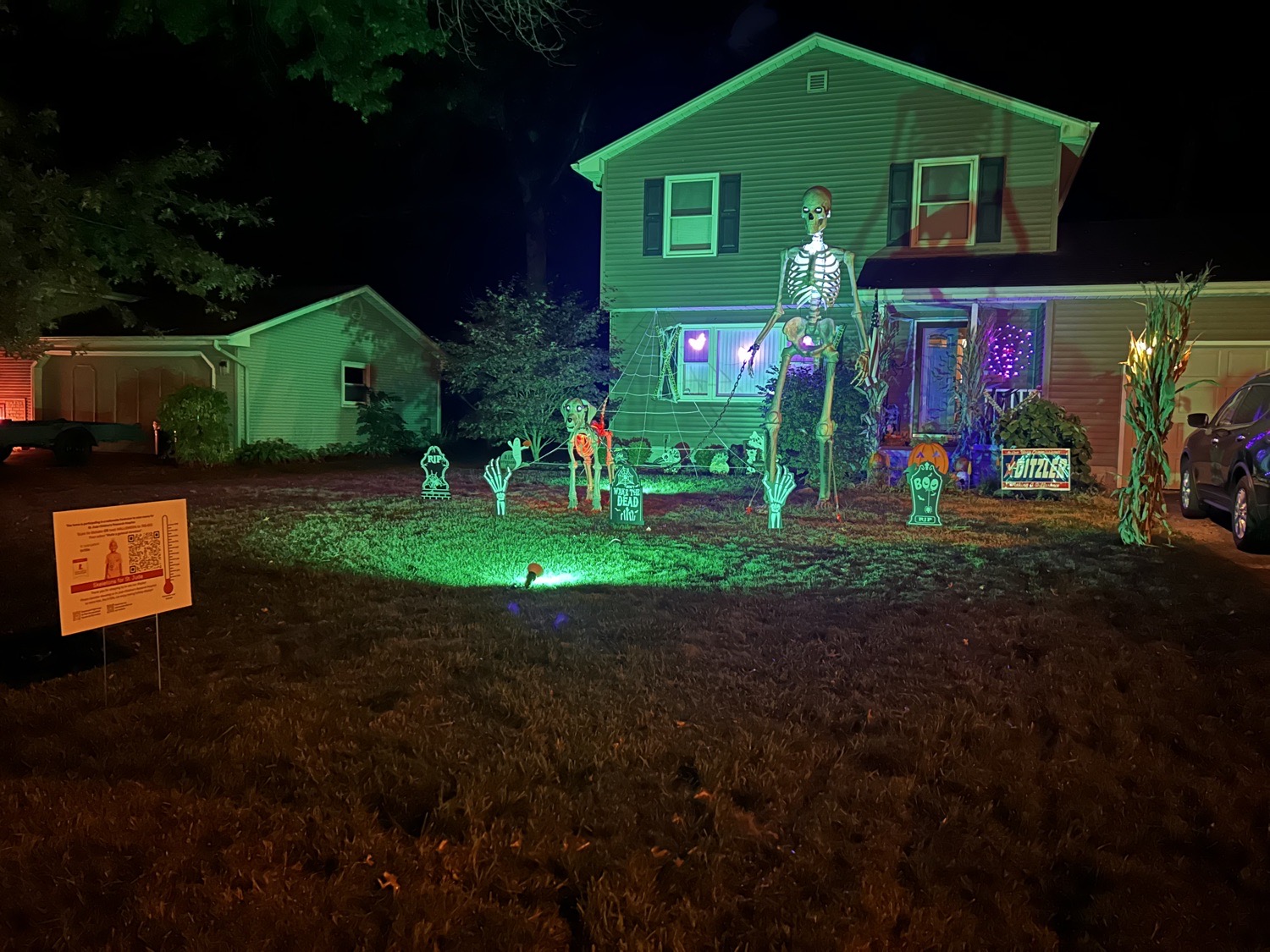 Come Visit Skelly And The Gang