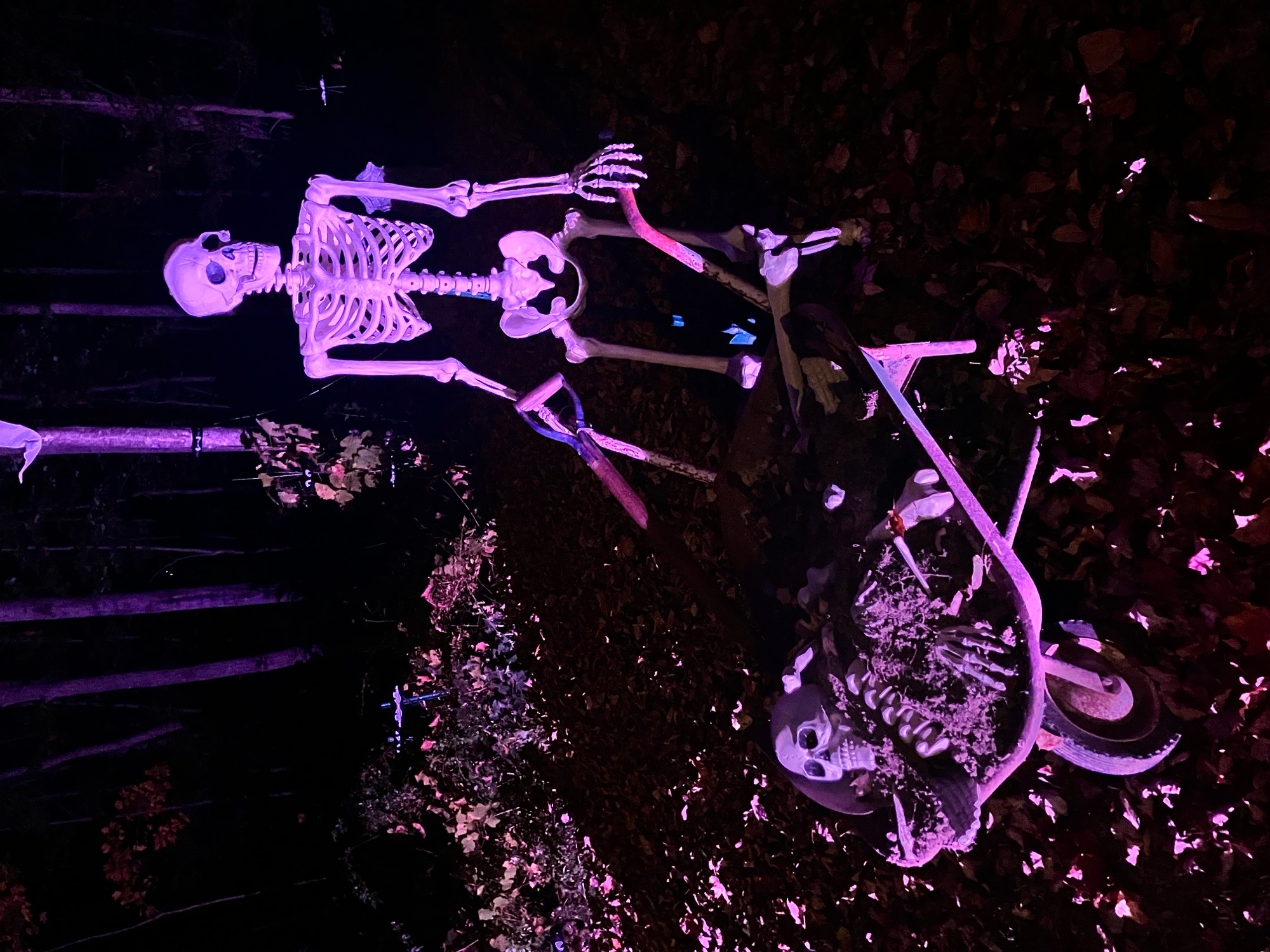 The Maineiac Lighthouse - Halloween Light Show 2023