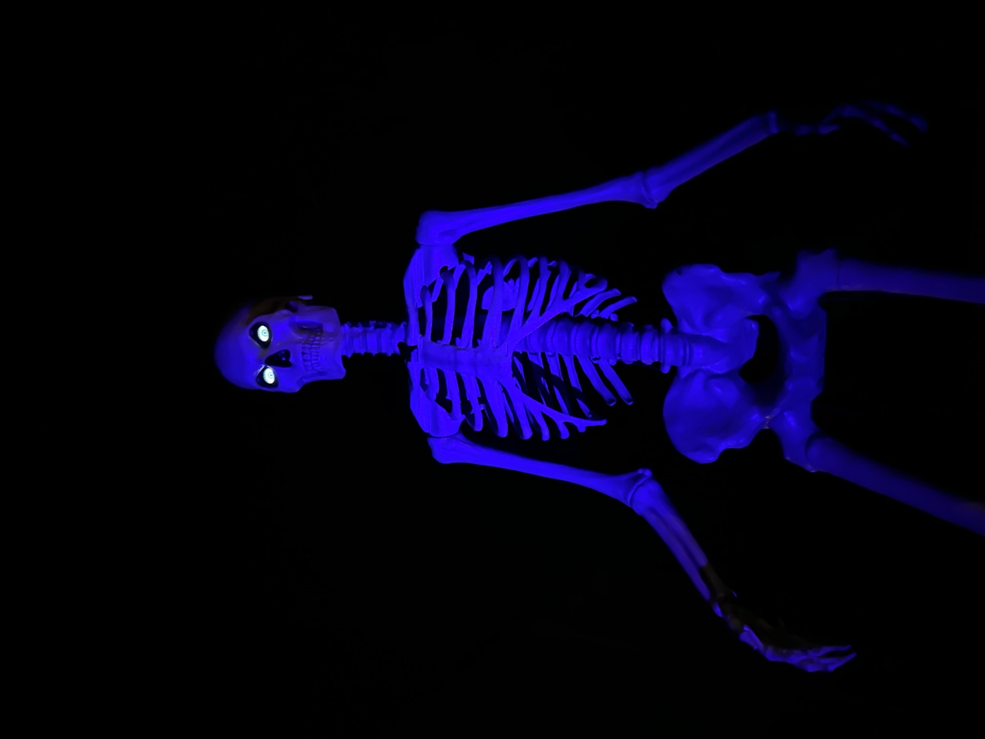 tilfords Haunt