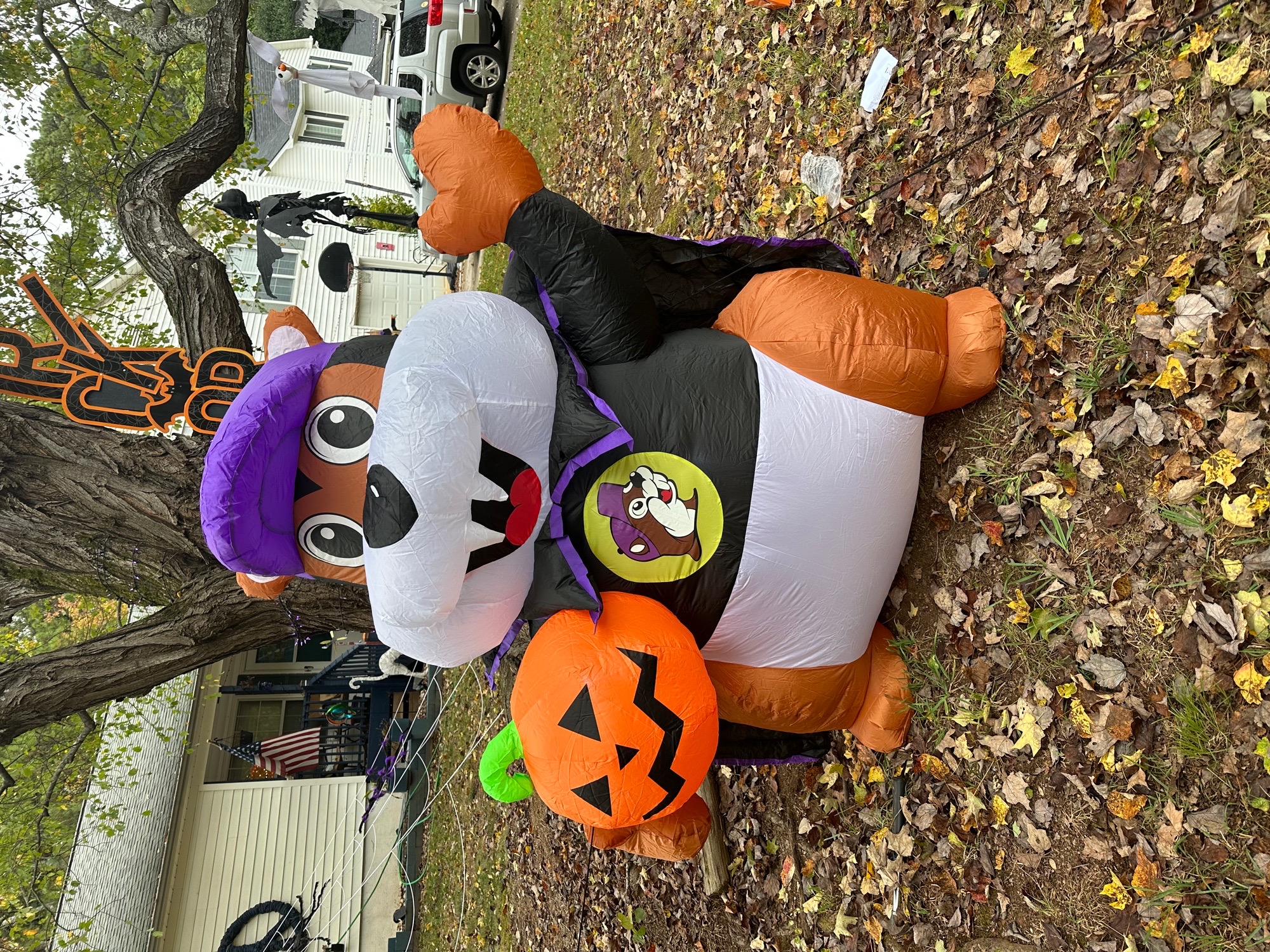 Spooky buc-eee house