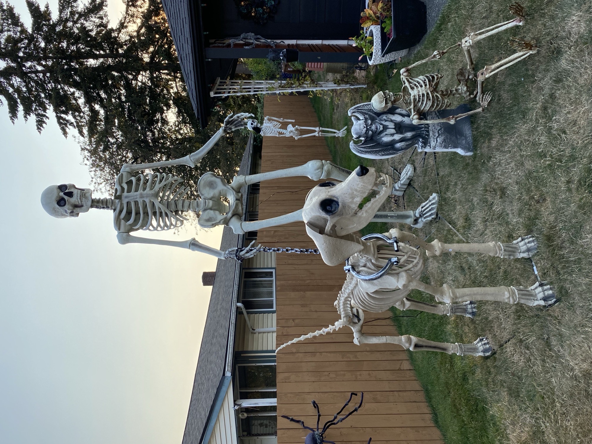 The Barry Grimm Graveyard