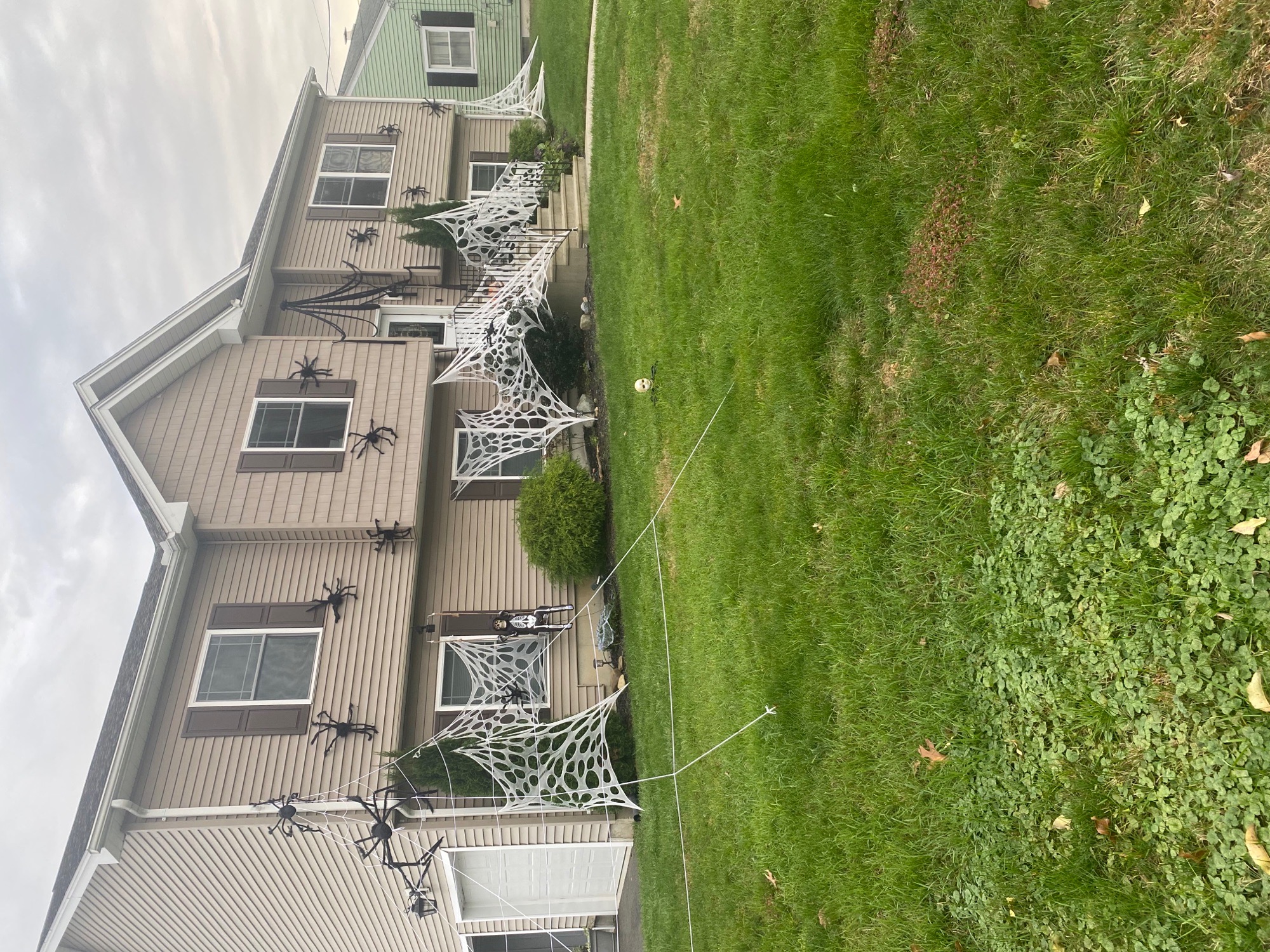 Arachnid Manor
