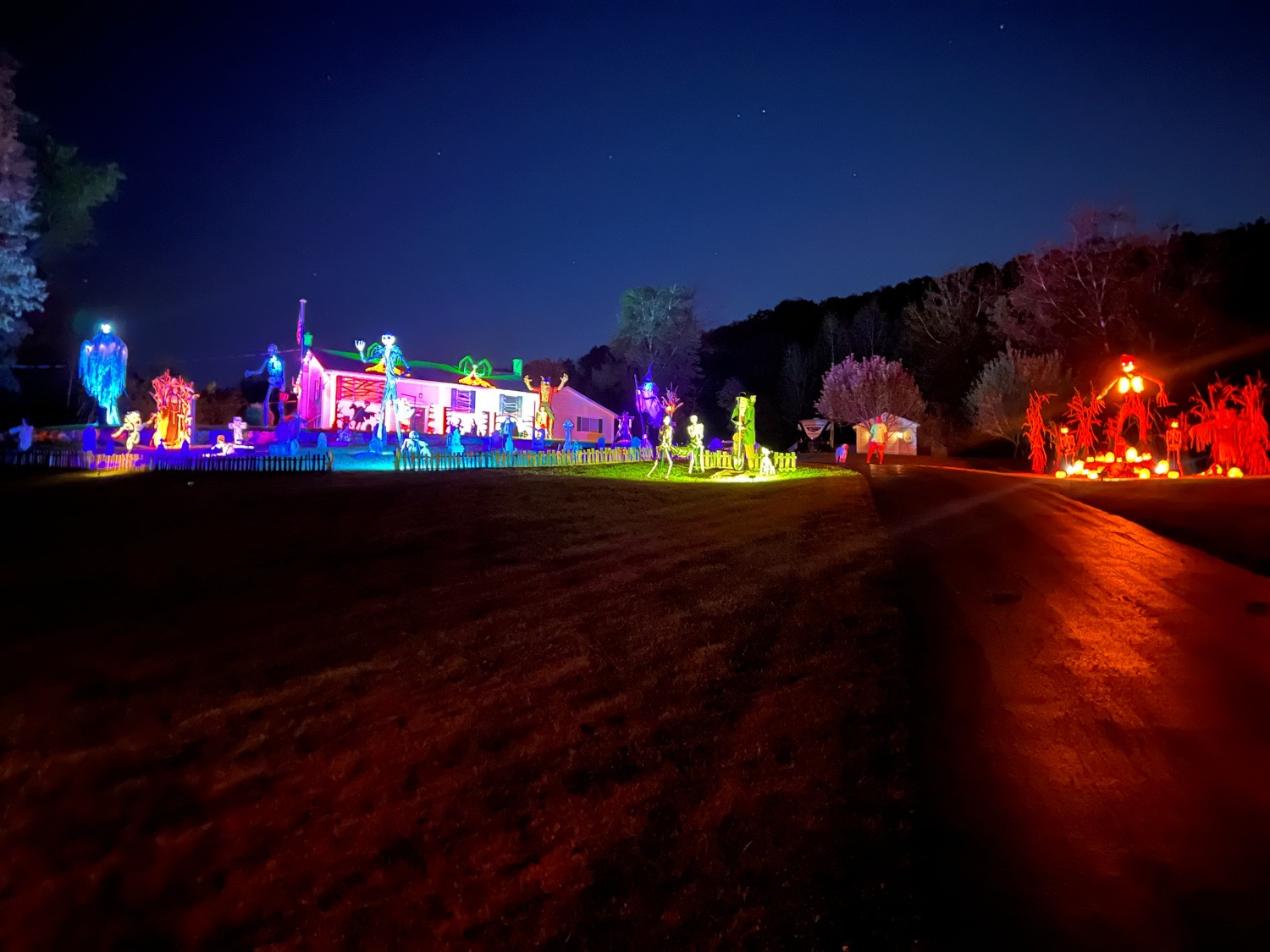 szkutak family lights