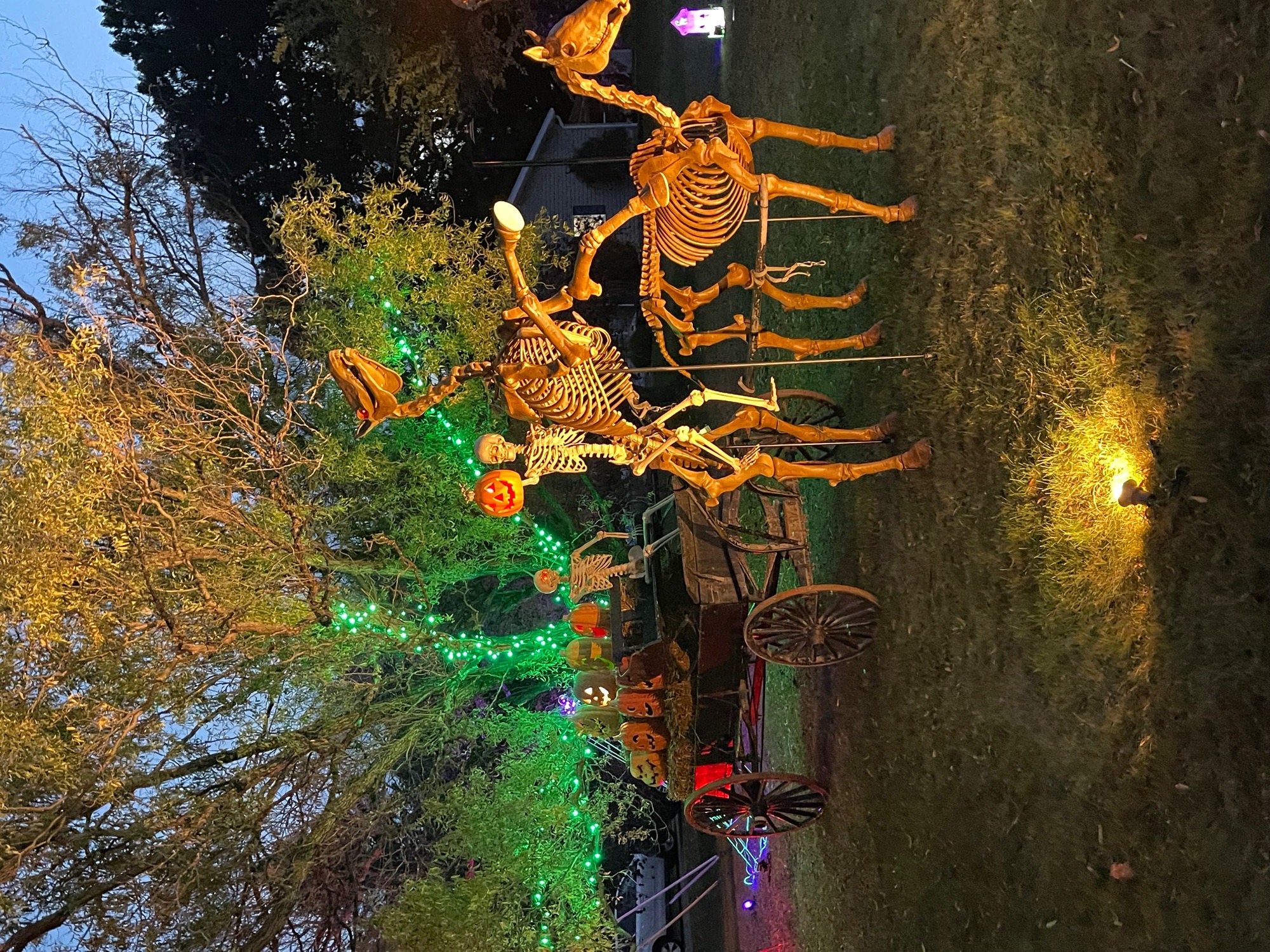 The Halloween Web
