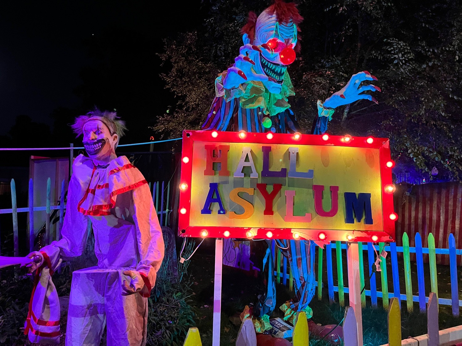 The Hall Asylum
