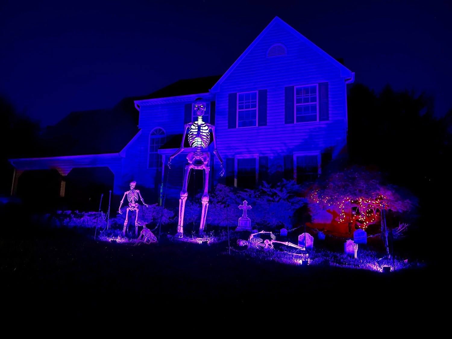 spooky skeletons