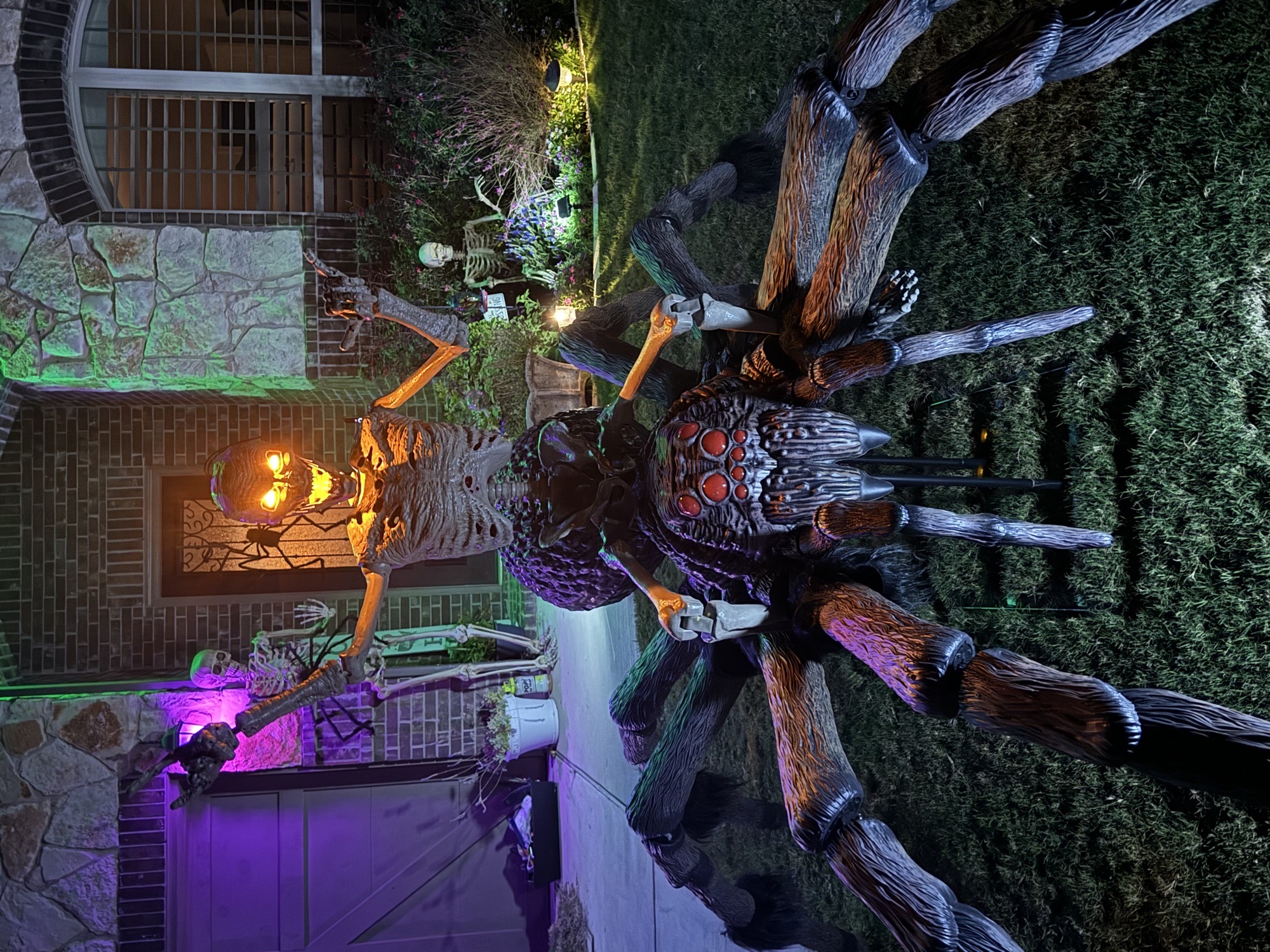 Spiders And Skeletons!!!