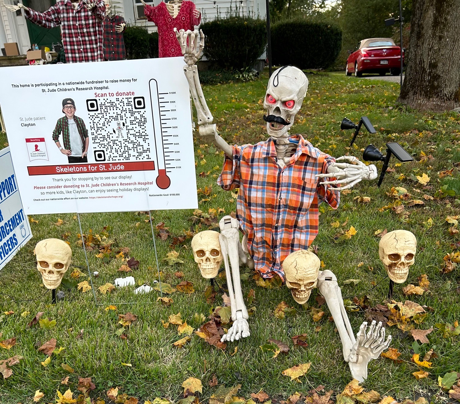 Abington Skelly Bones