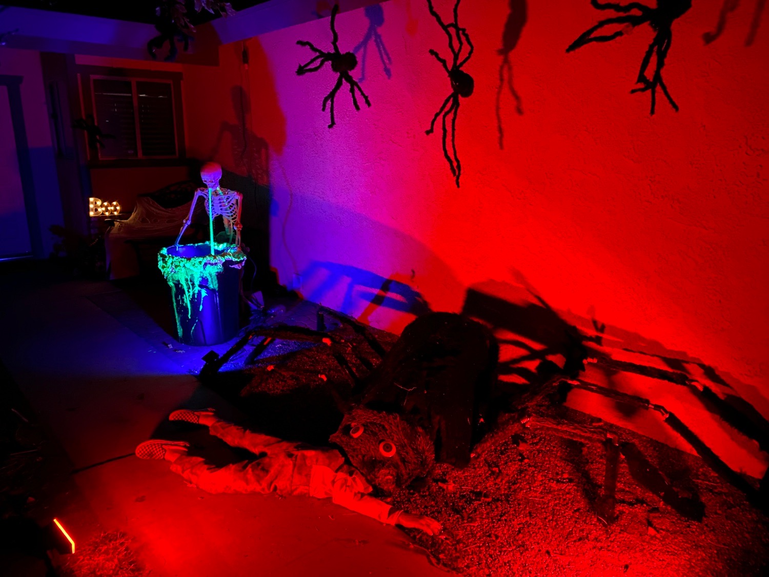 Spiders and Scary