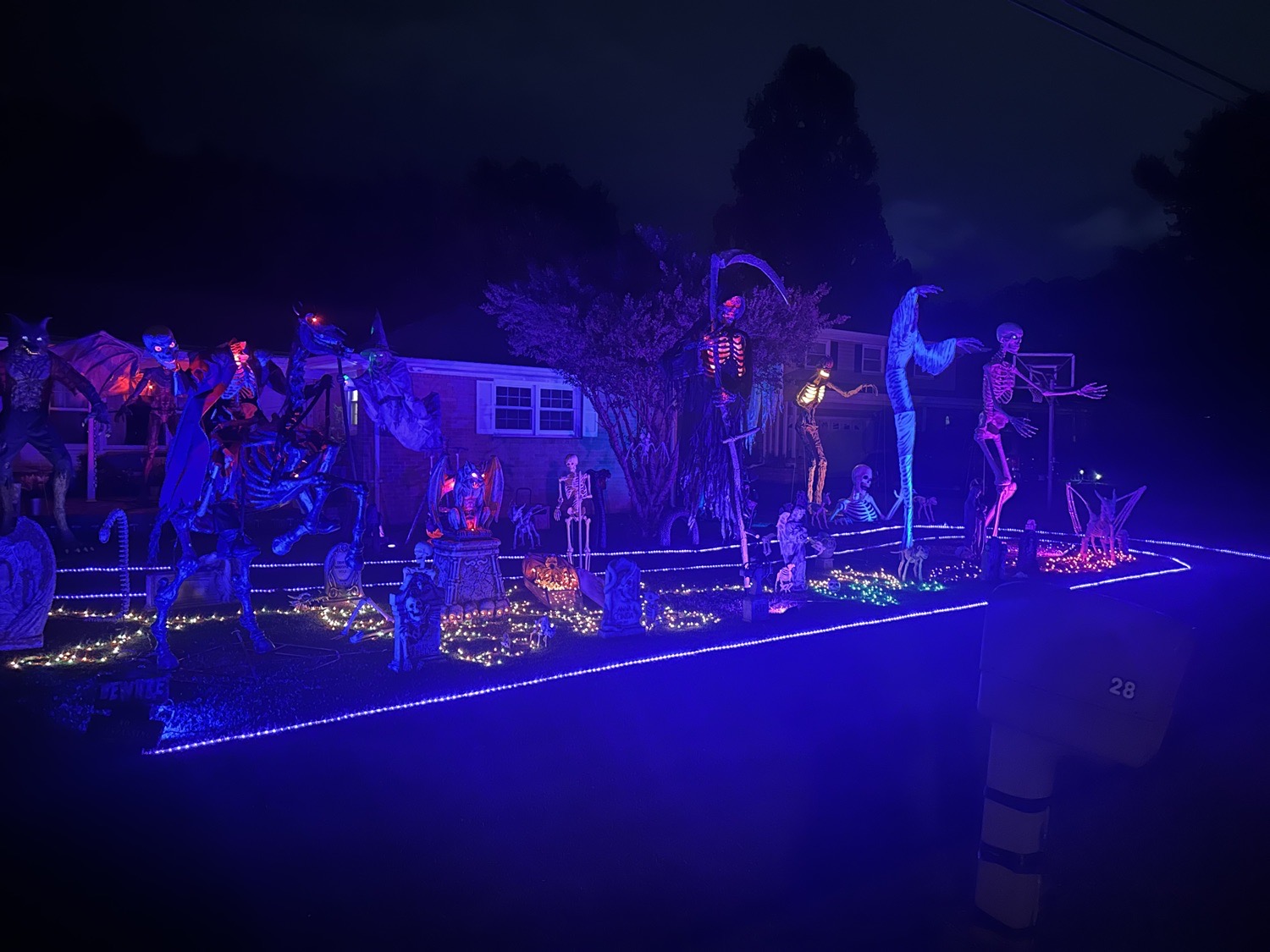 Magro Family Halloween
