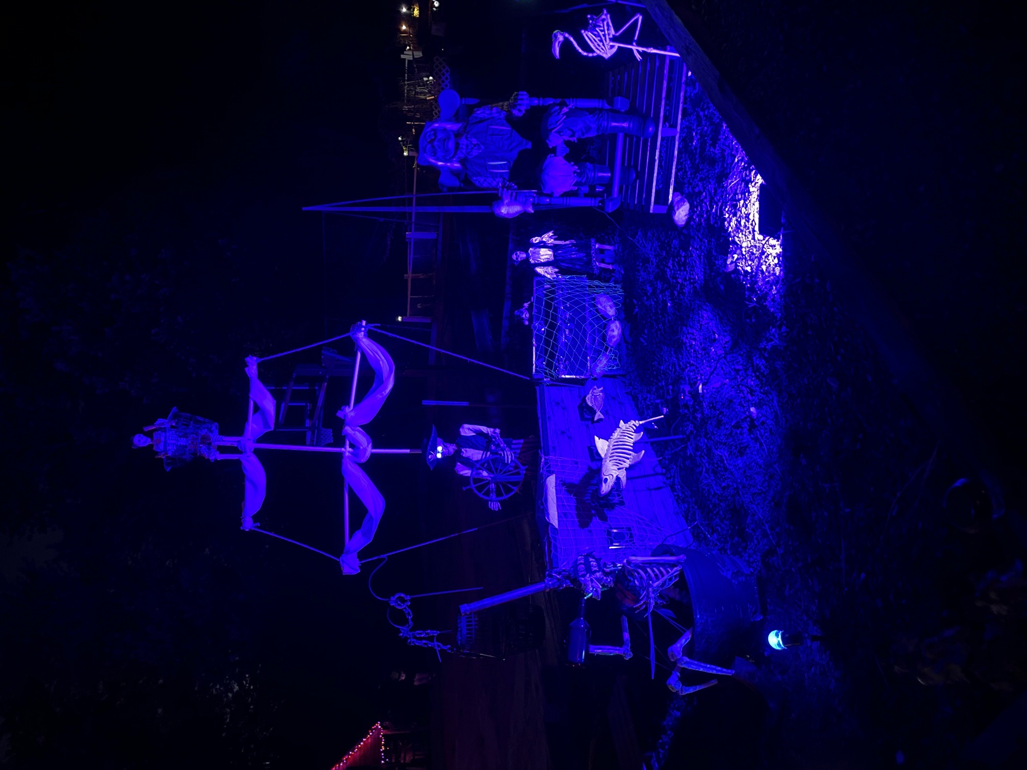 Halloween on Scott Terrace