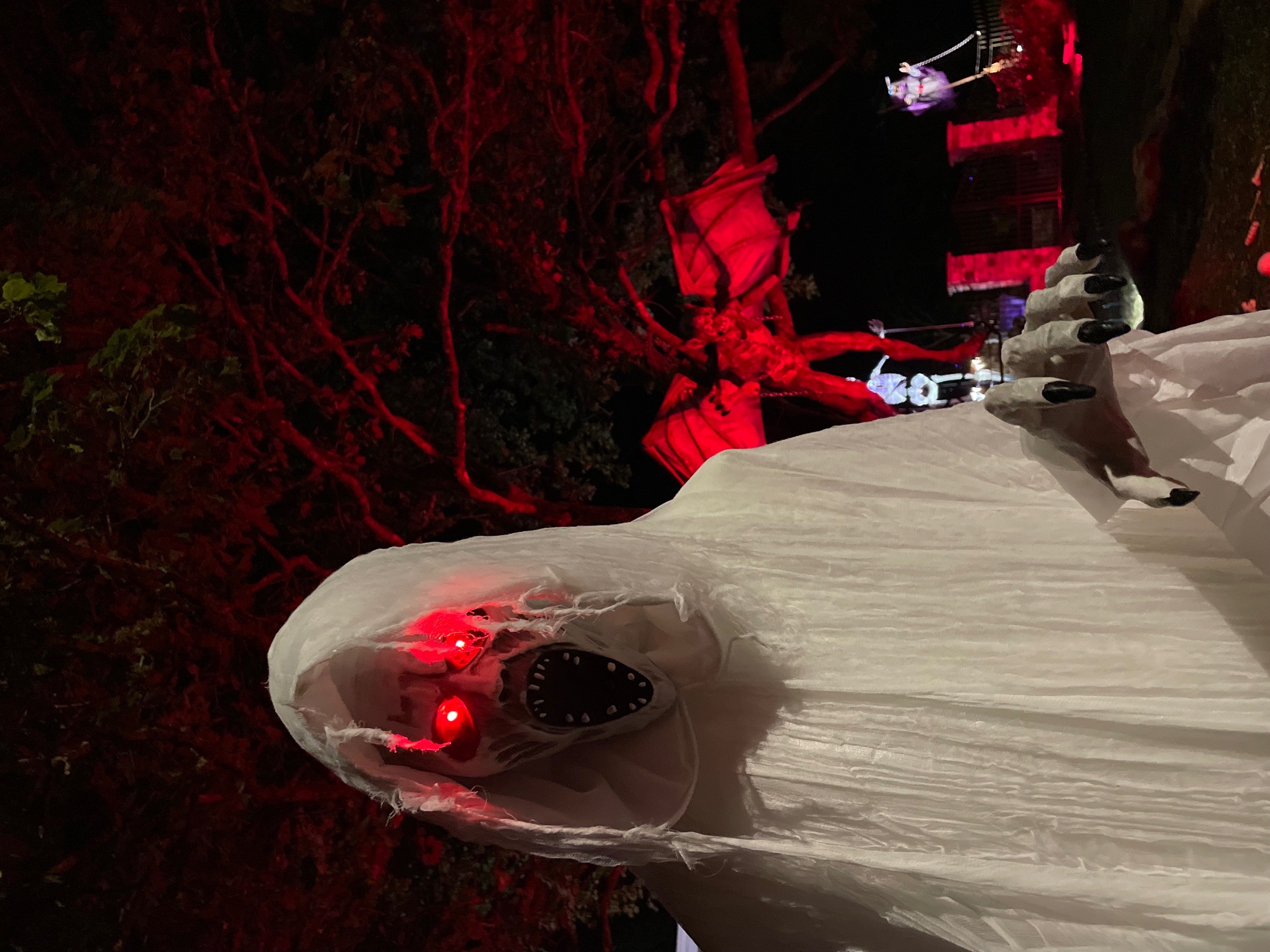 TRANSYLVANIA’s Light the Night On Pine