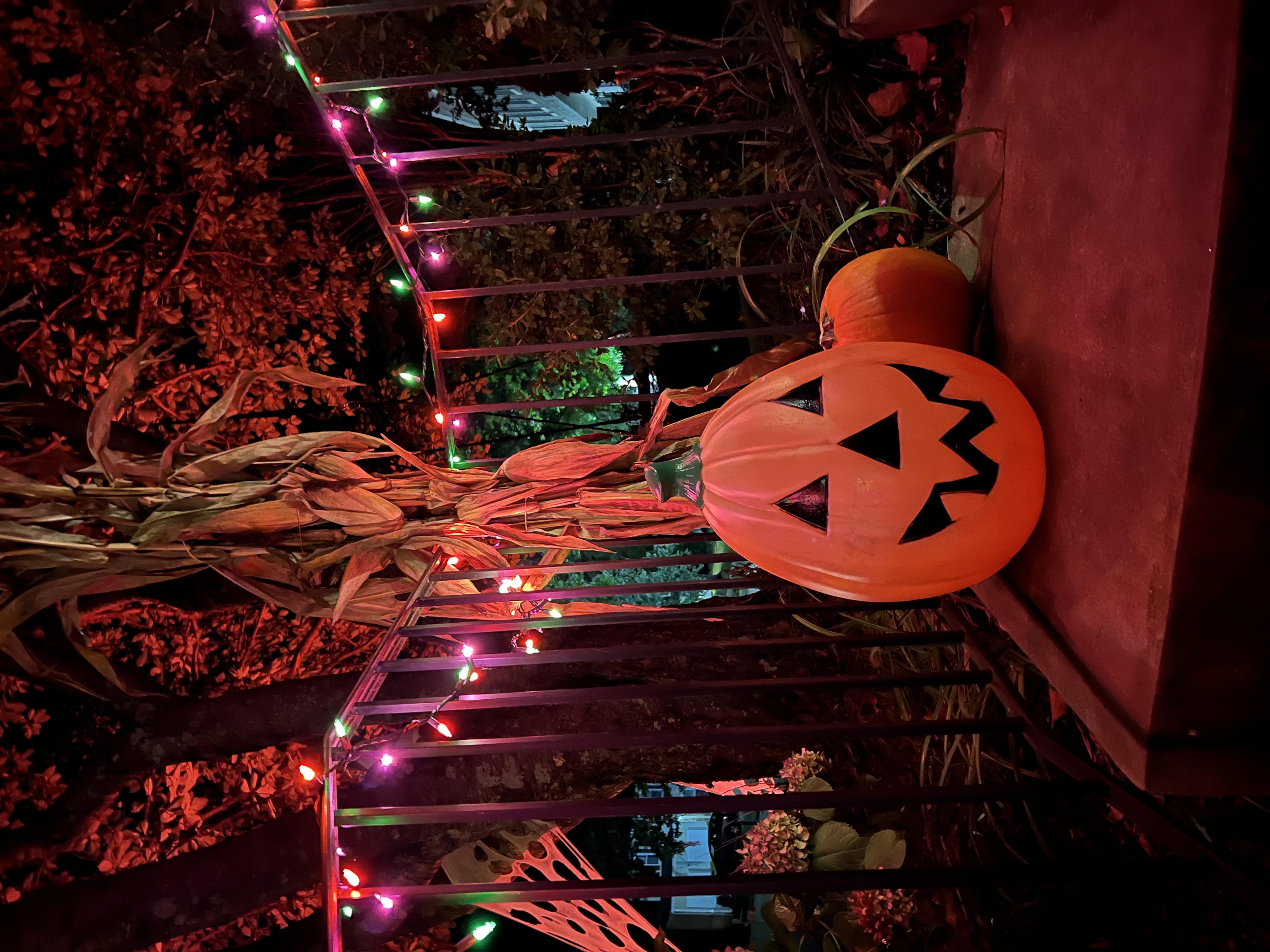 haunted Bay hills