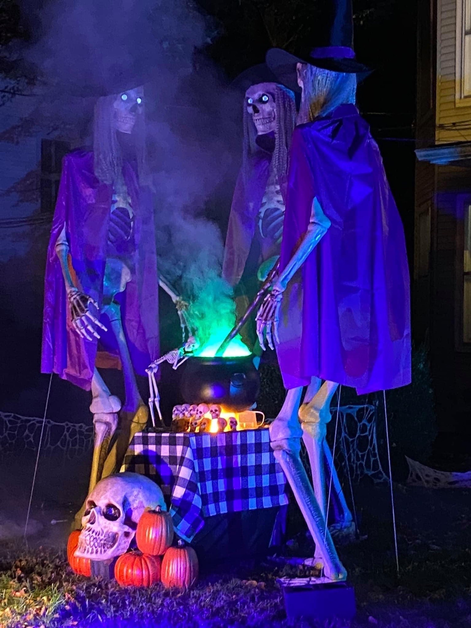 danville skeletons- skelfie spot and food drive