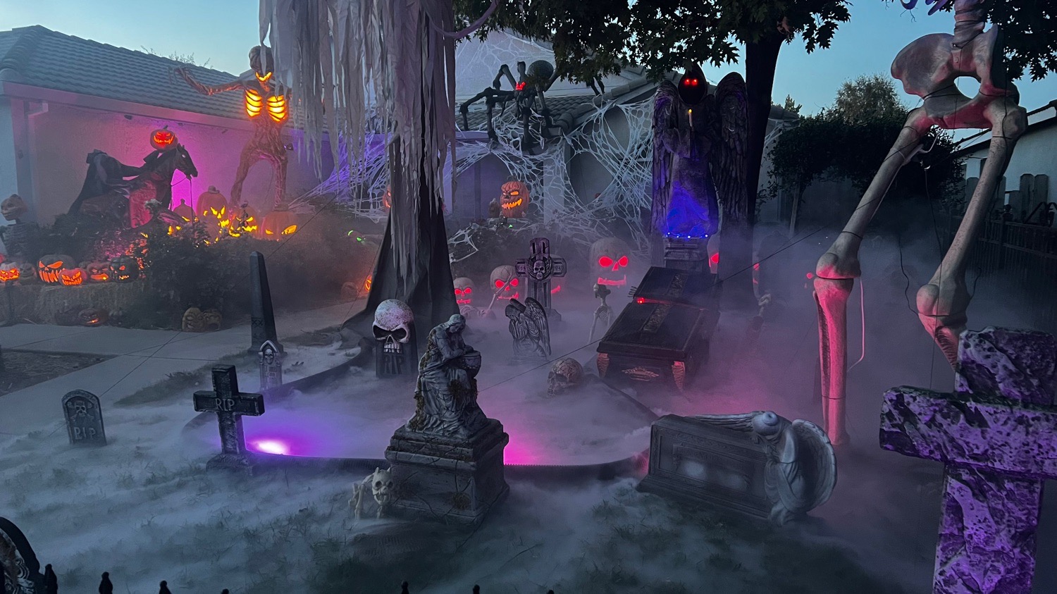 Woodland Haunt