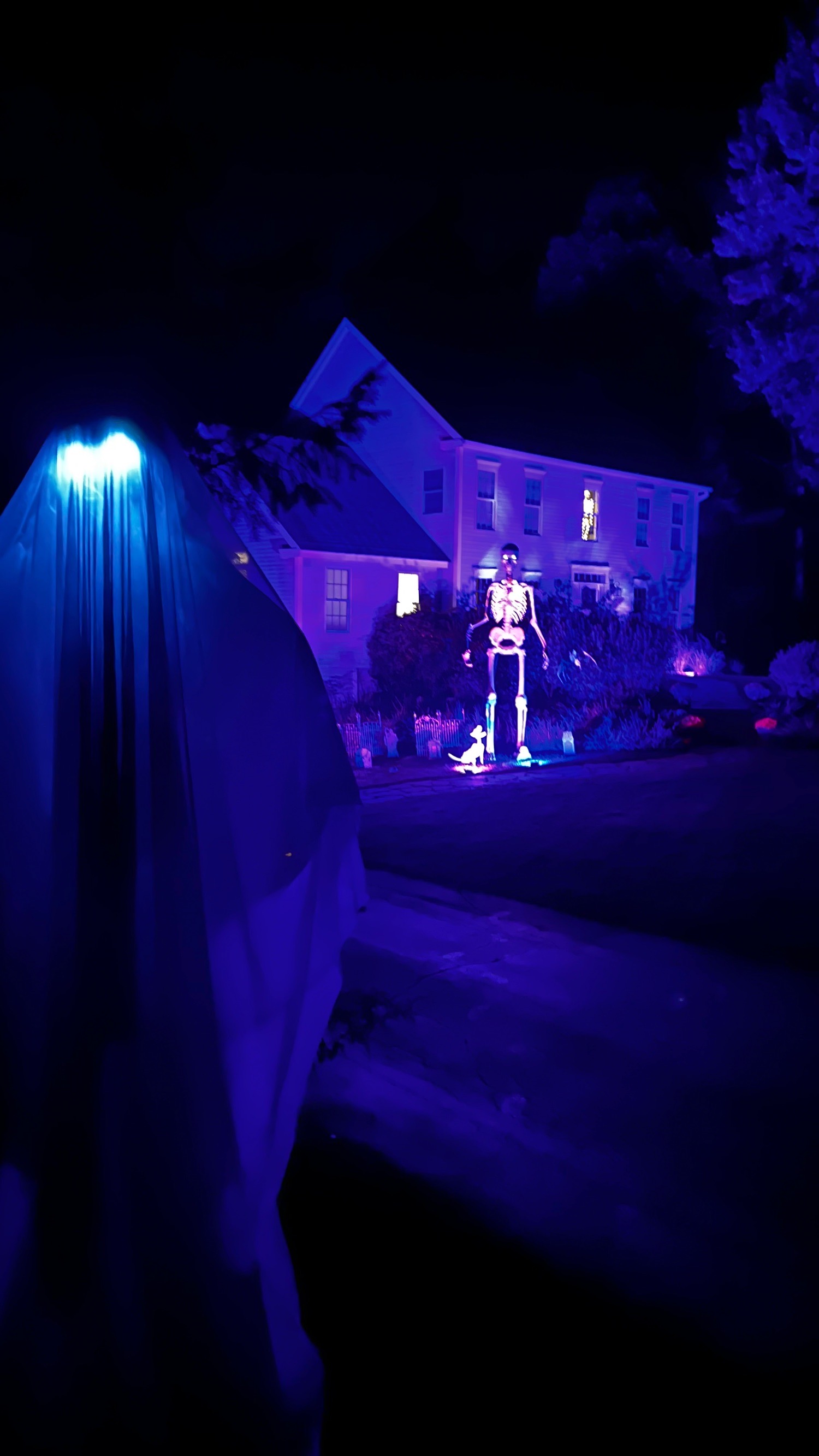 12ft skeleton