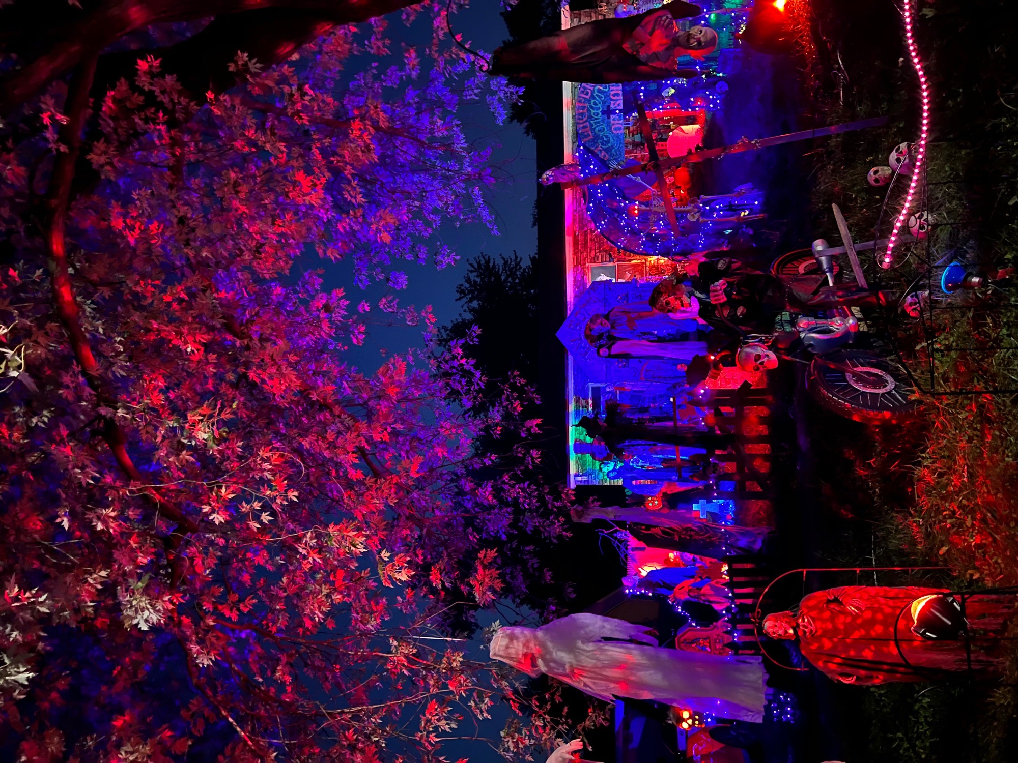 St. Lucifer’s Garden of Souls