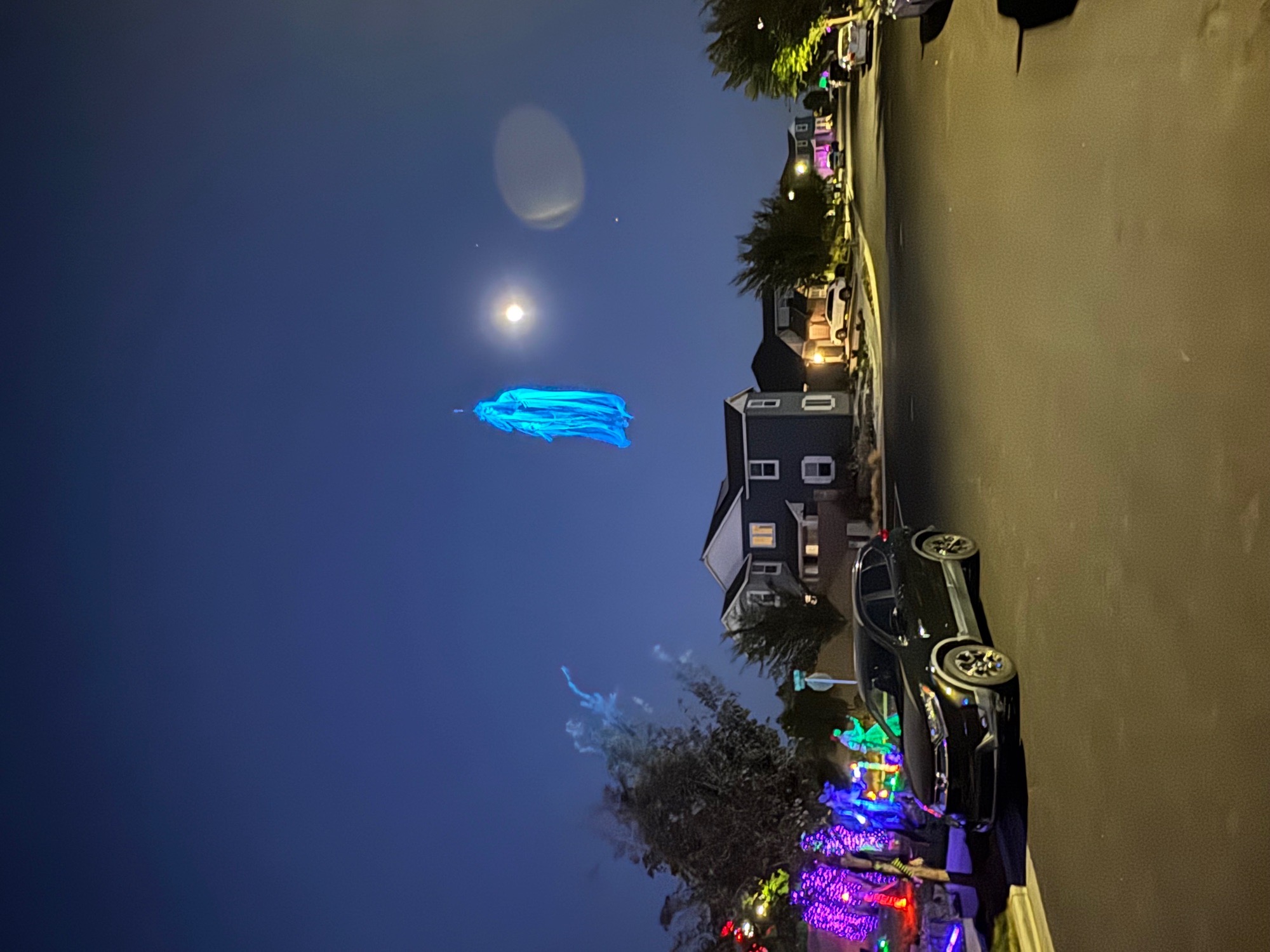 flying with with pirate cove