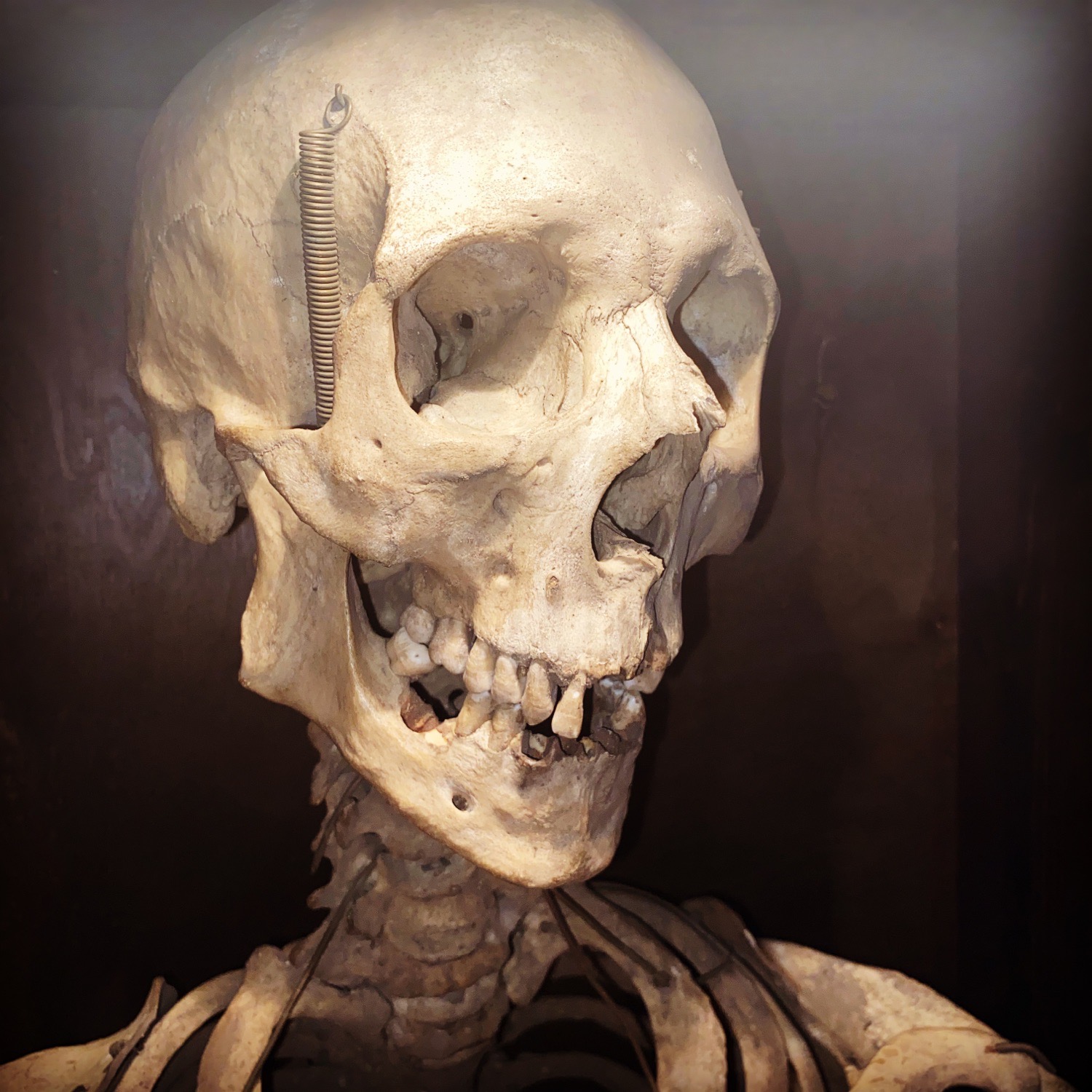 The Ossuary — haunted house in Smyrna, DE
