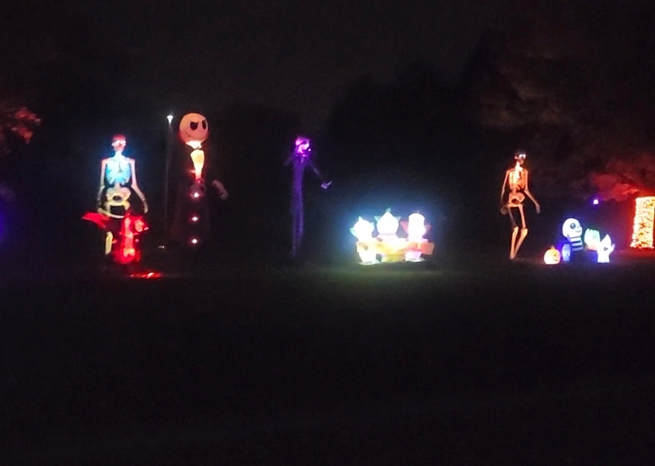 Spooky Yard Display