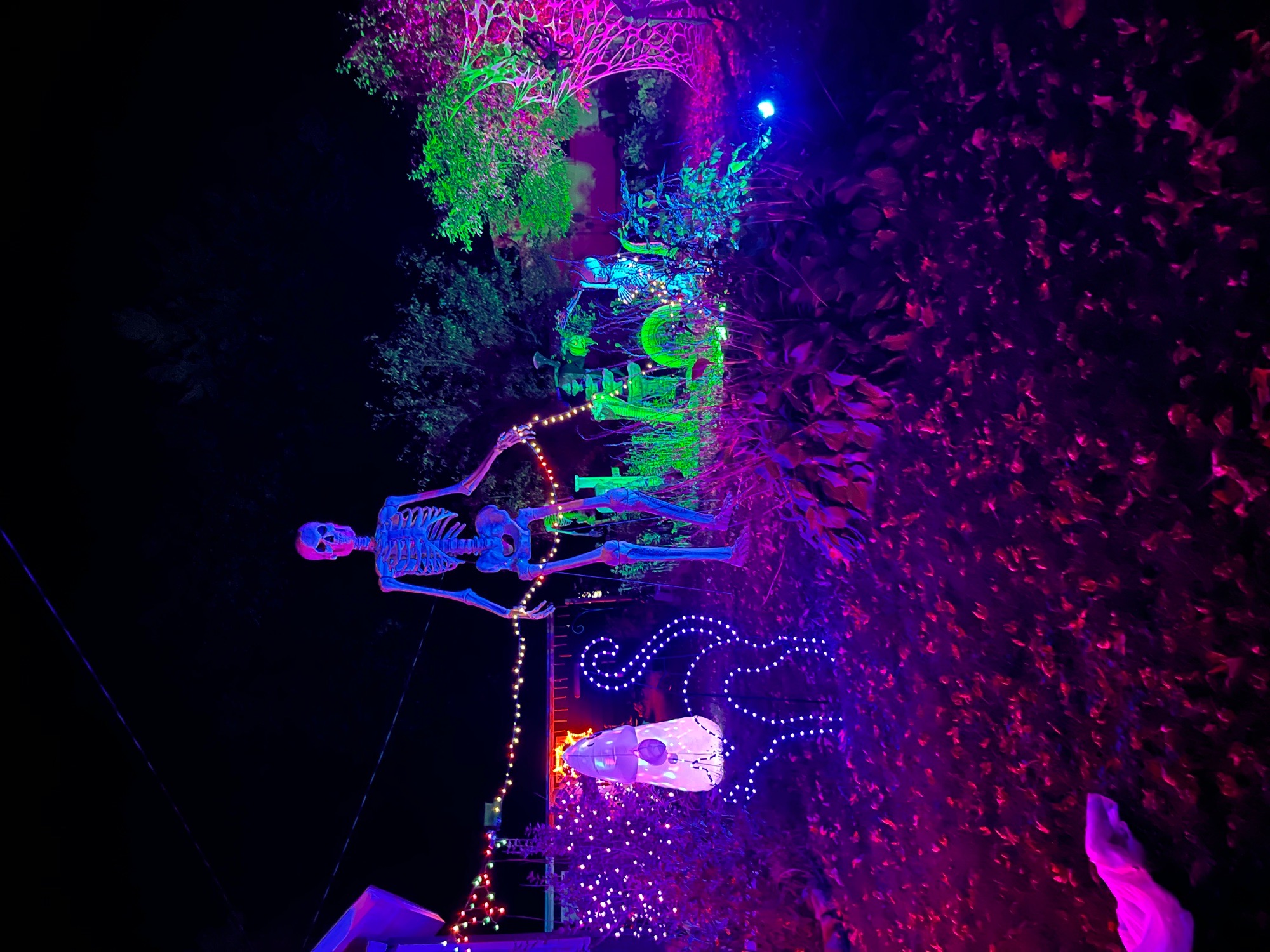 cty rd a haunt