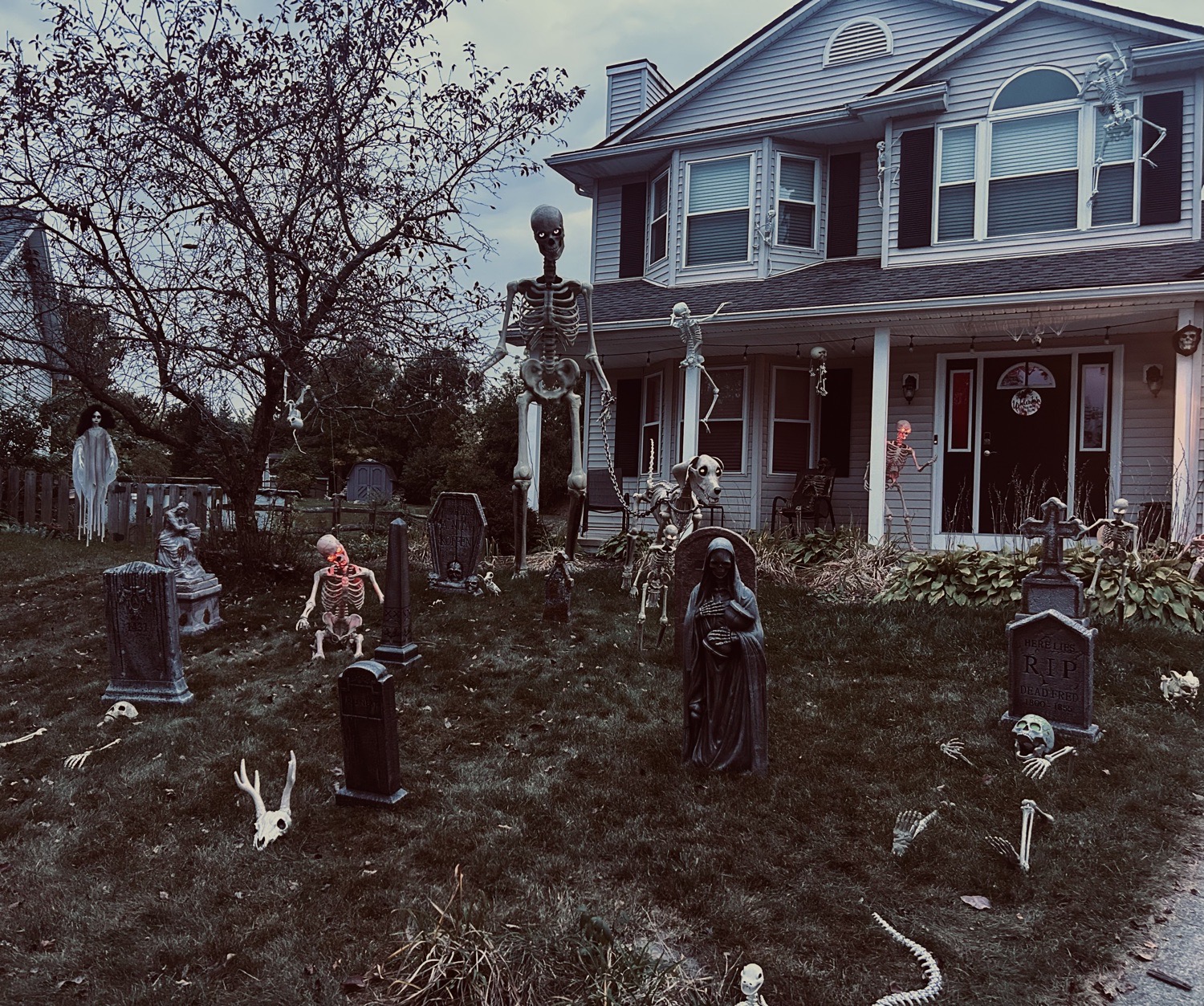 Skeleton Graveyard