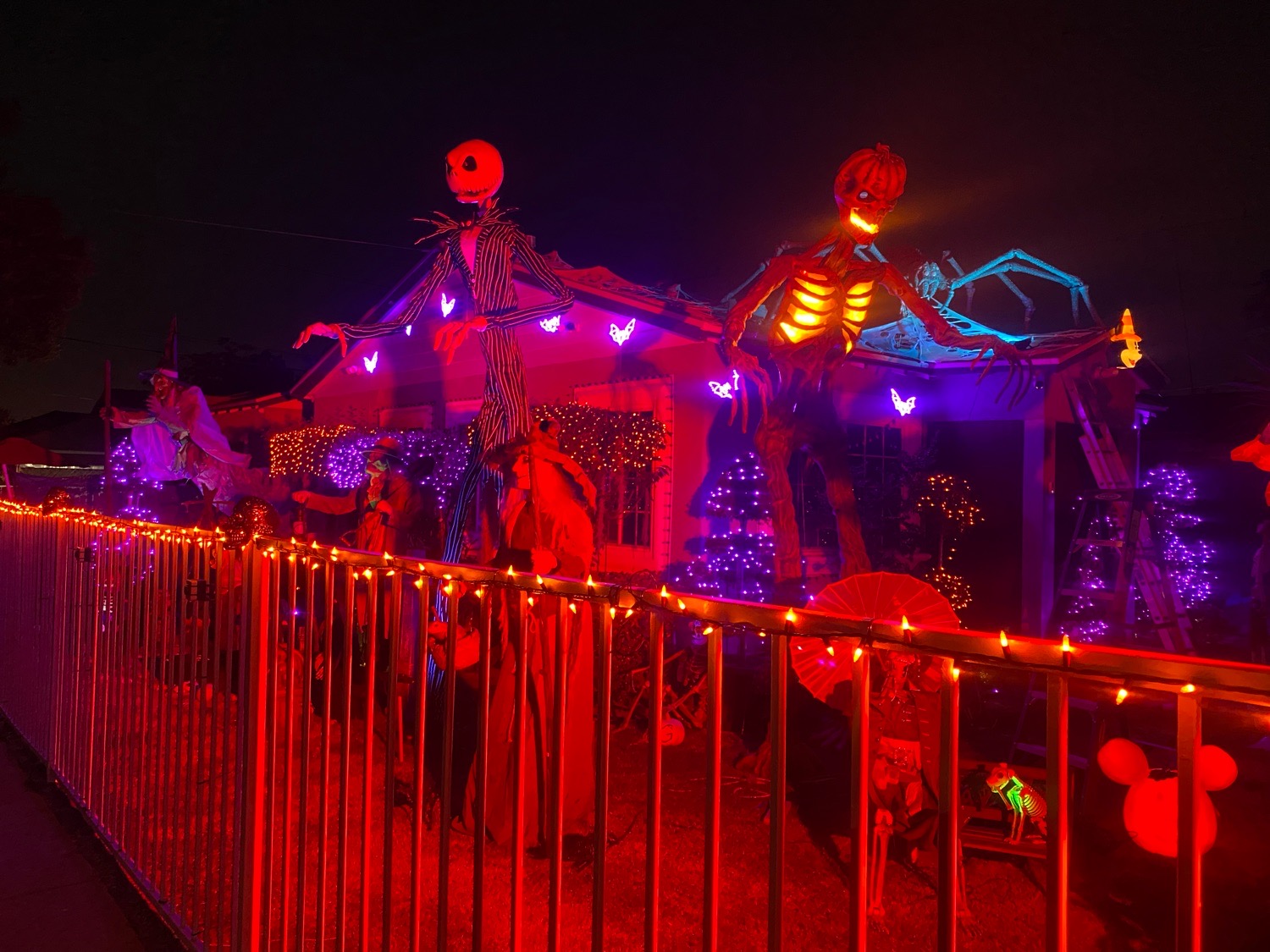 SalazarChristmaslights