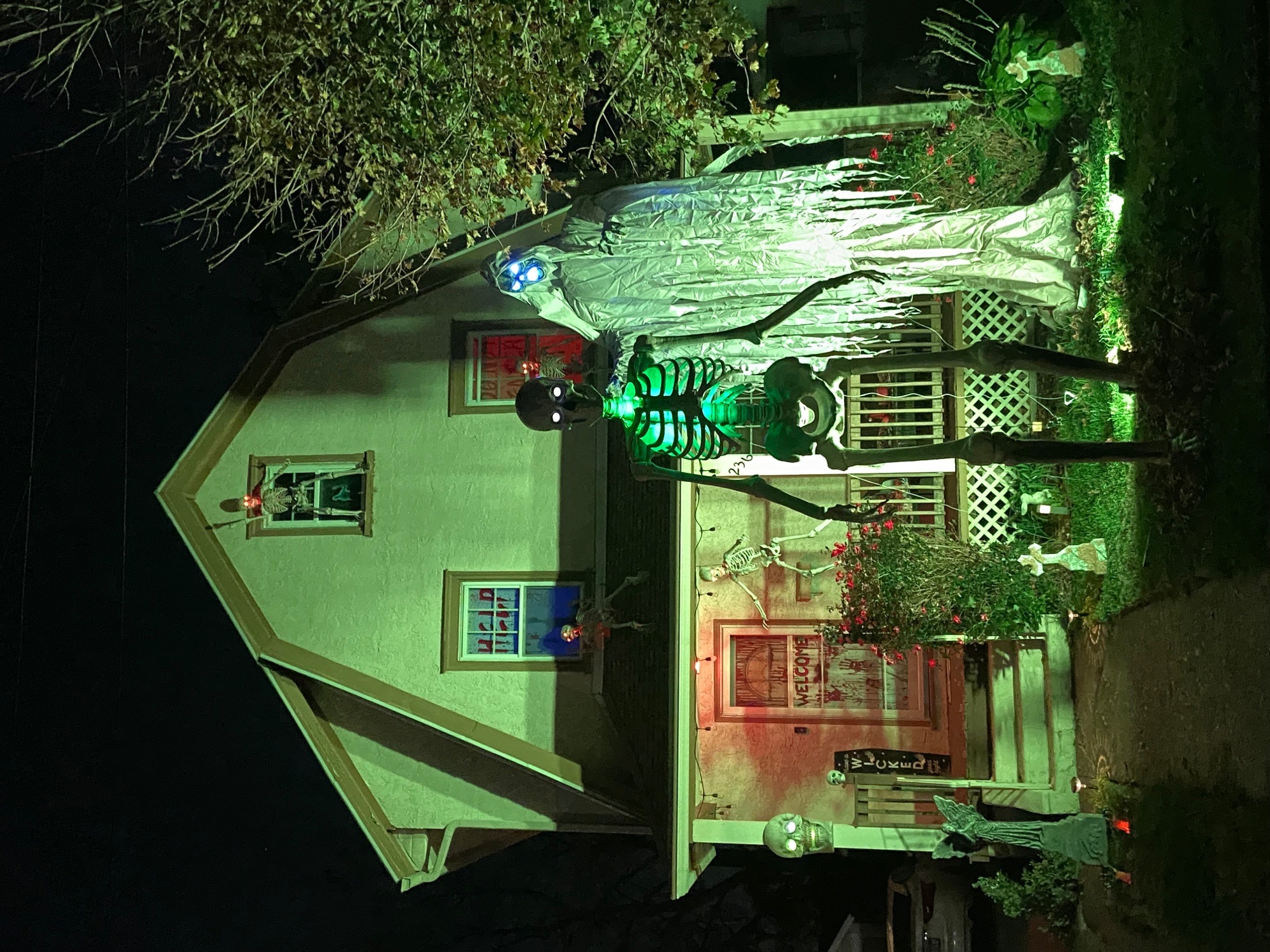 Wicked house on wadas