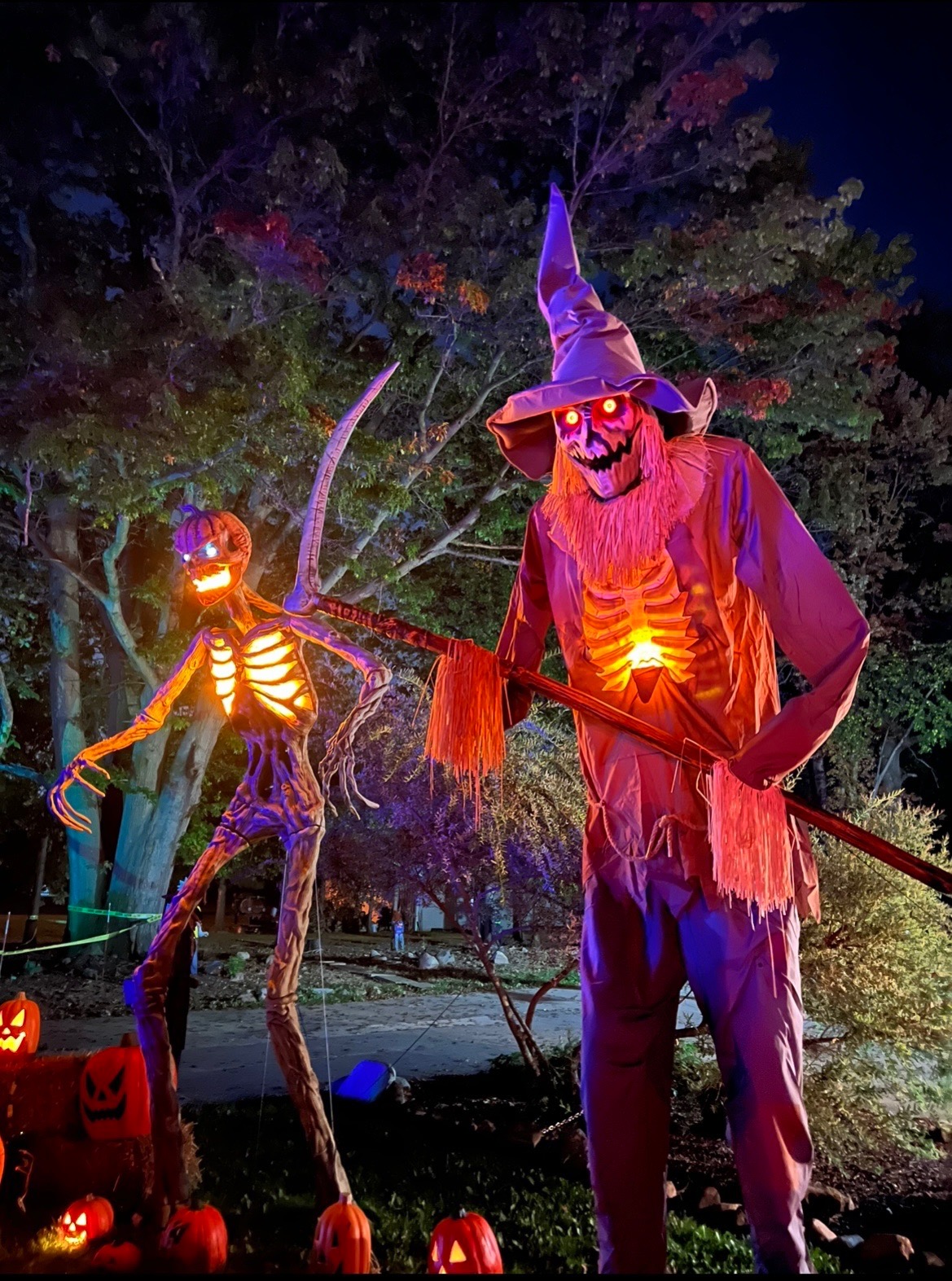 HealyWoods — halloween display in Elyria, OH