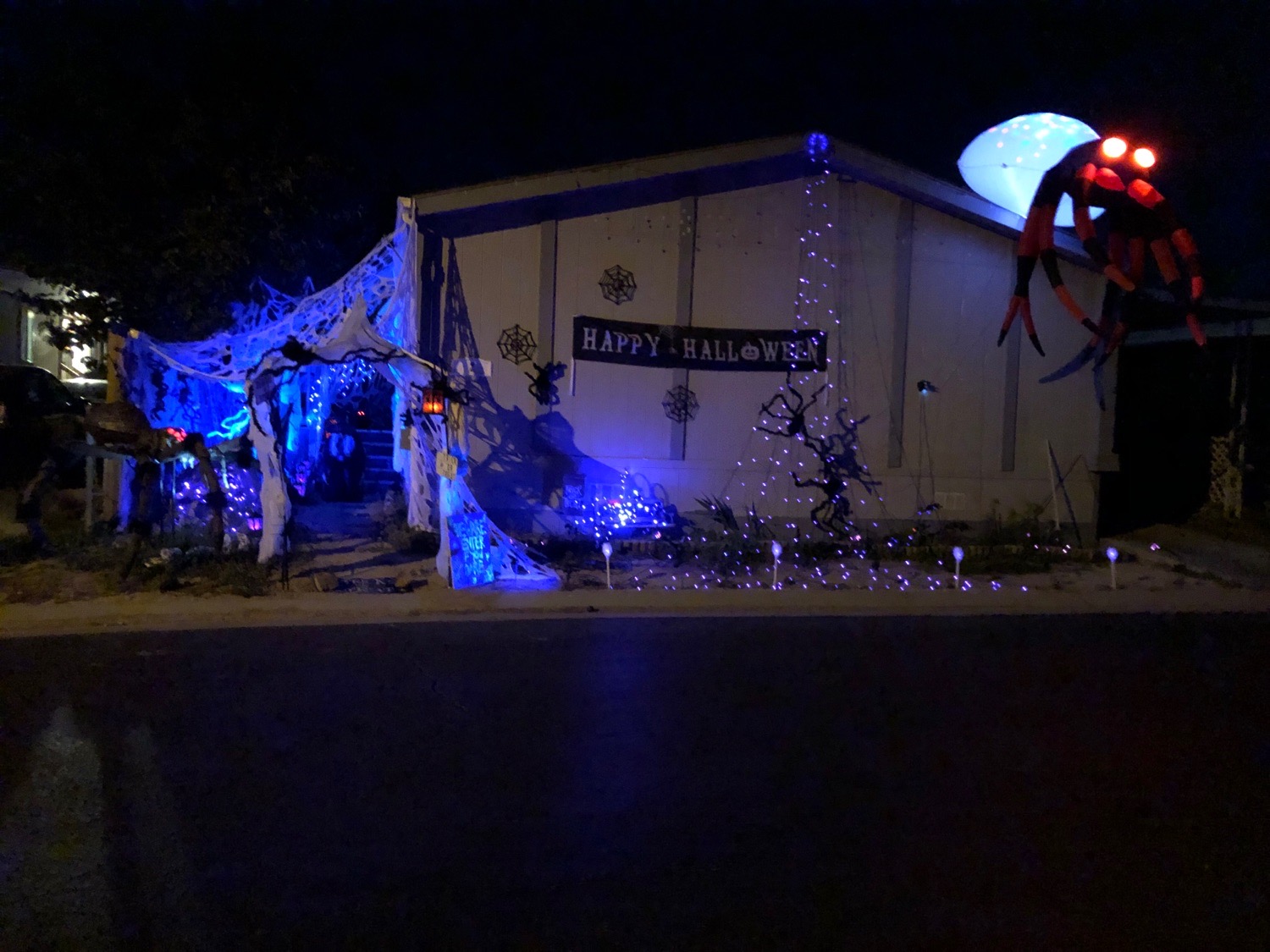 scary spider house