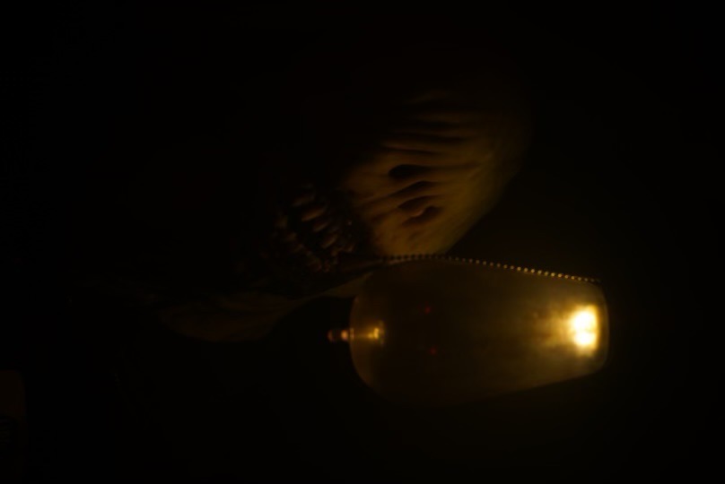 The Curley’s Haunt