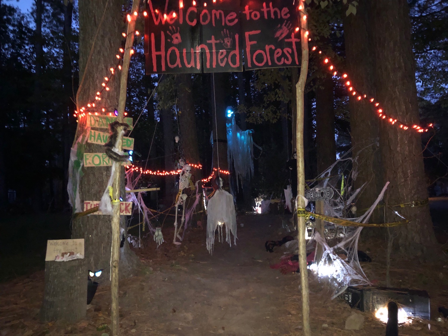 the Haunted forest
