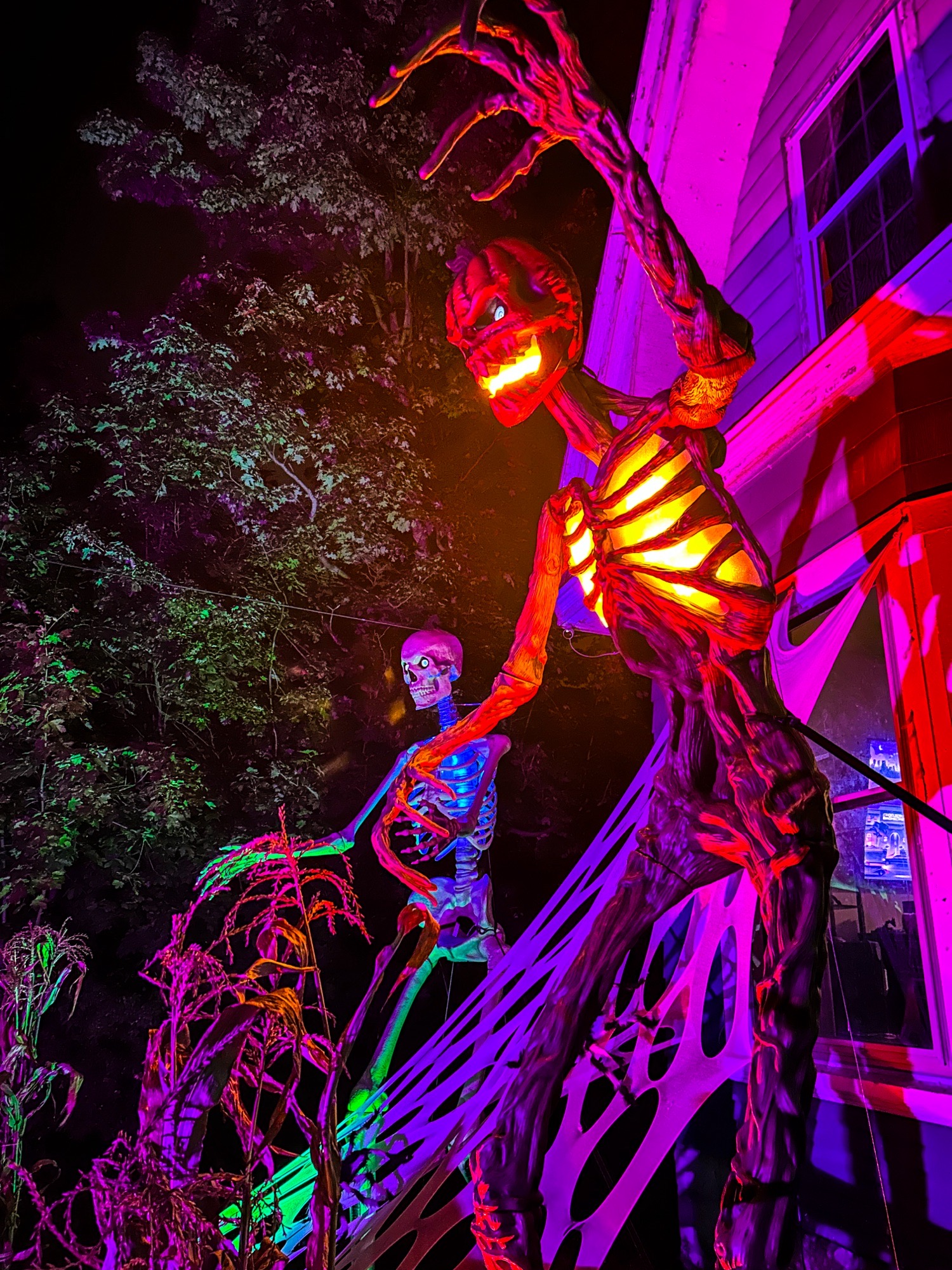Spooky Scary Skeleton