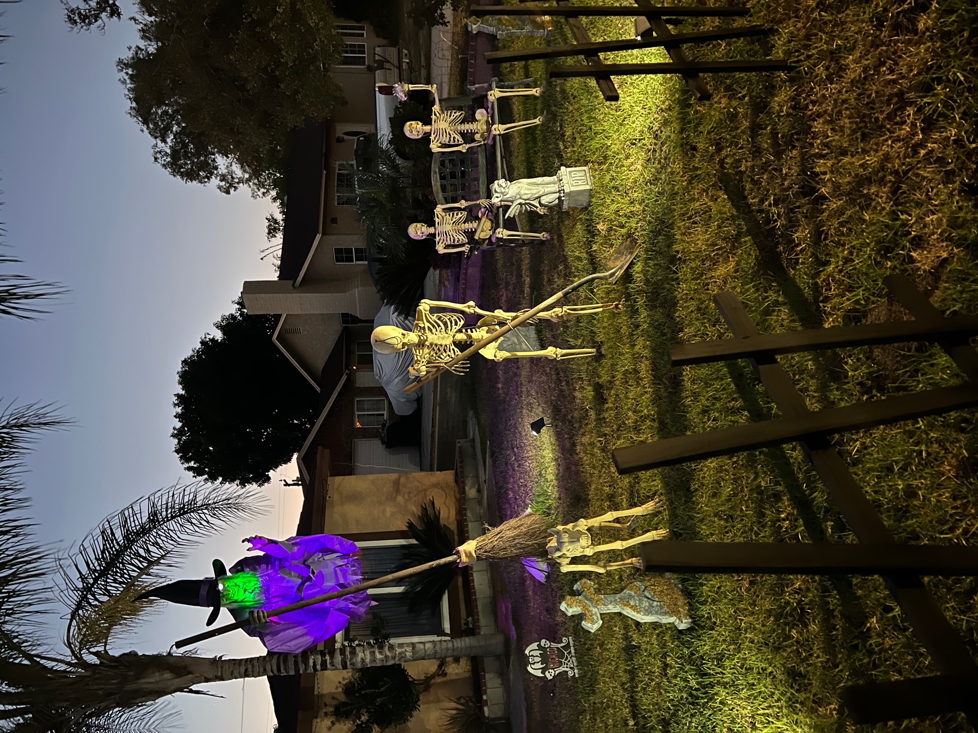 skeleton graveyard