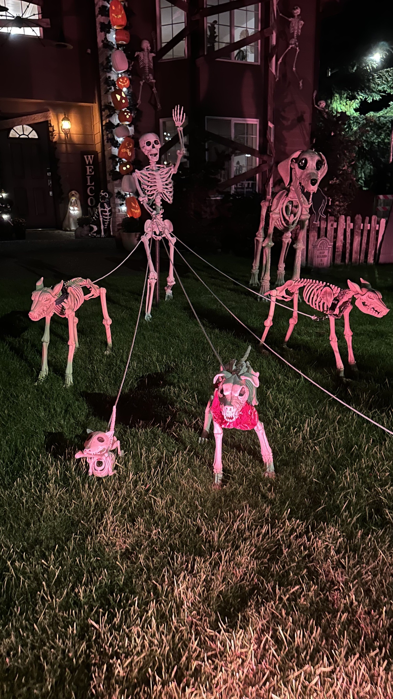 Silly Skeletons
