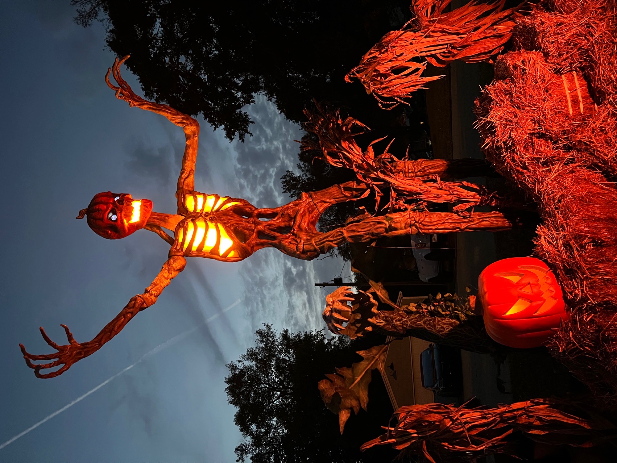 skelly house