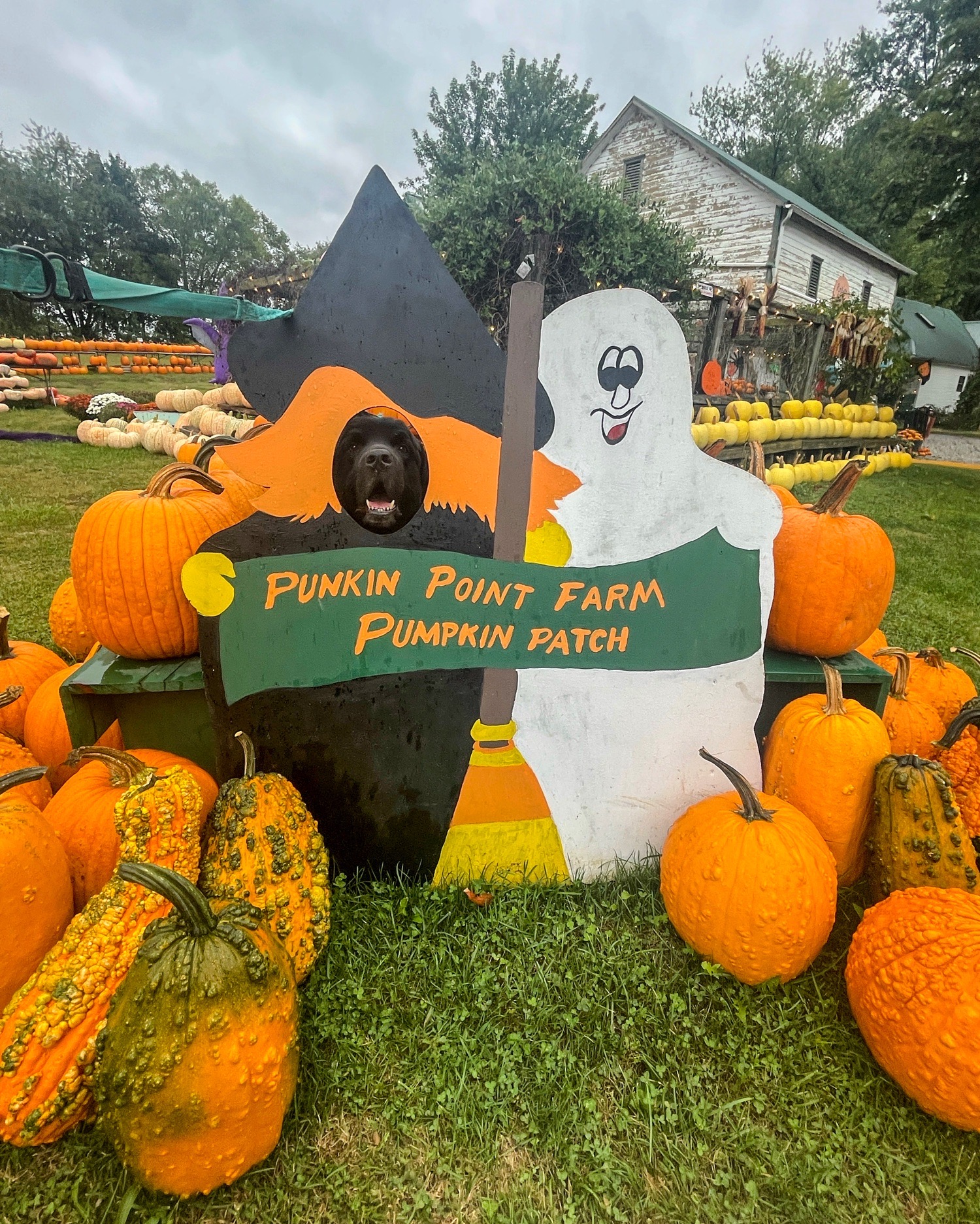 Punkin Point Farm