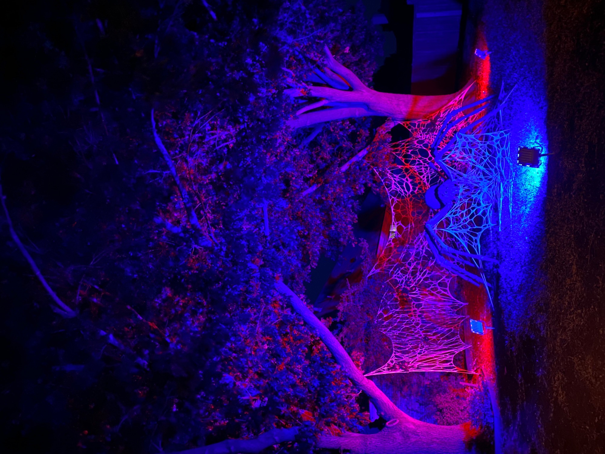 The Haunt on Sako