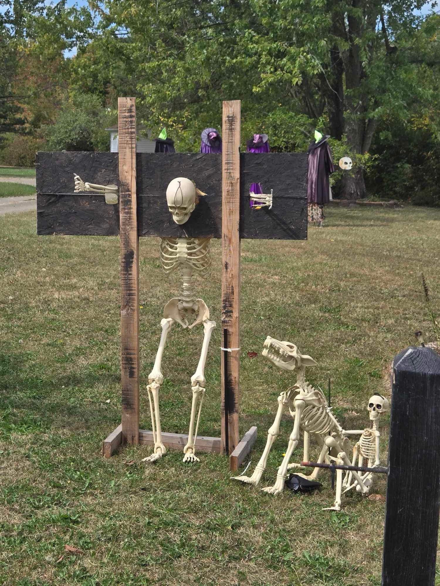 In The County — halloween display in Medina, OH