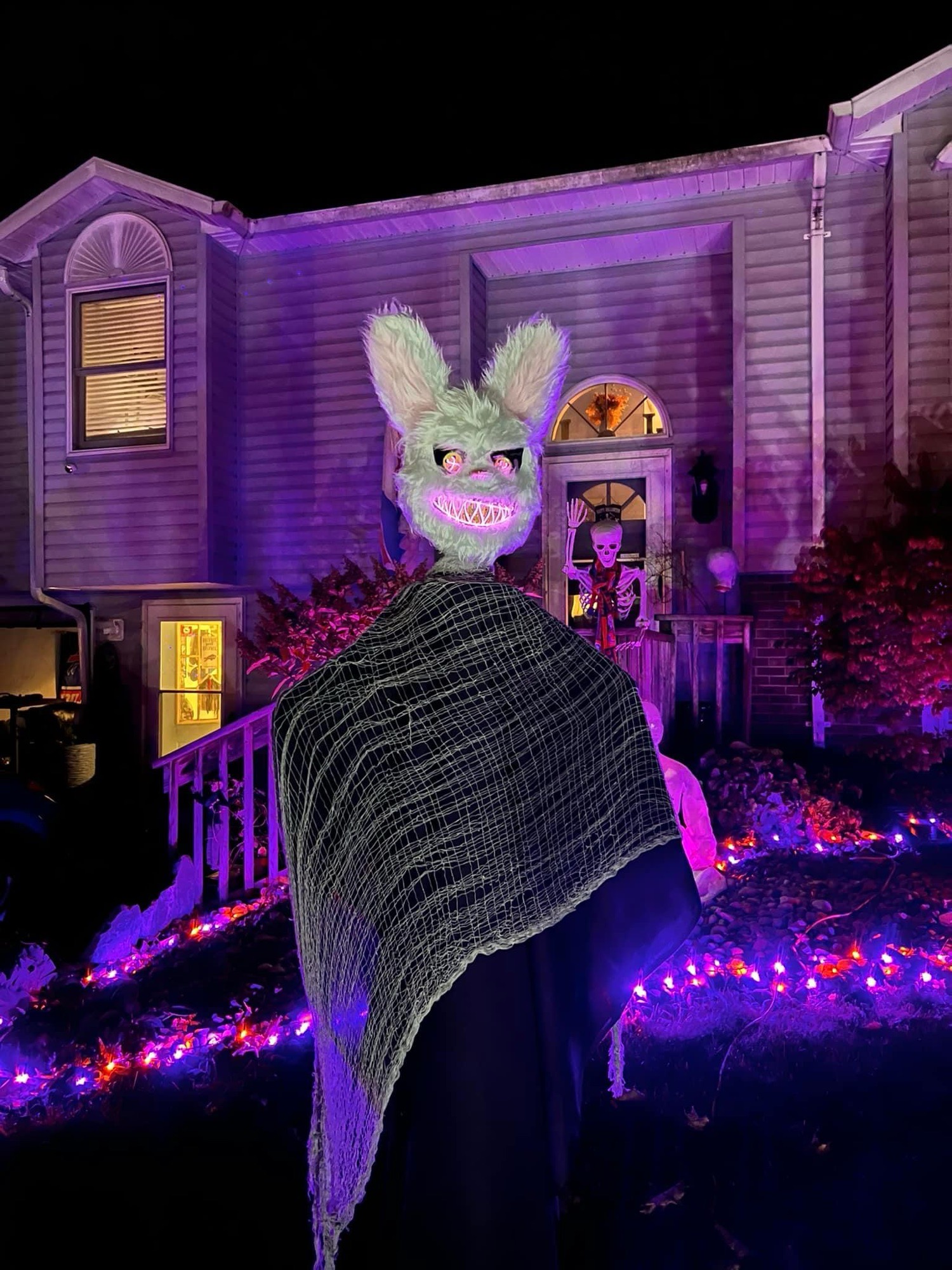 the most wonderful time of the year