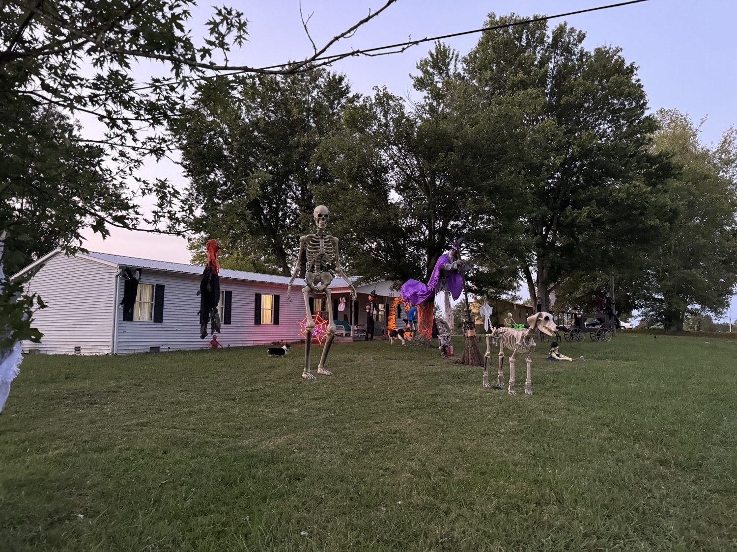 Seven Knobs Spooks