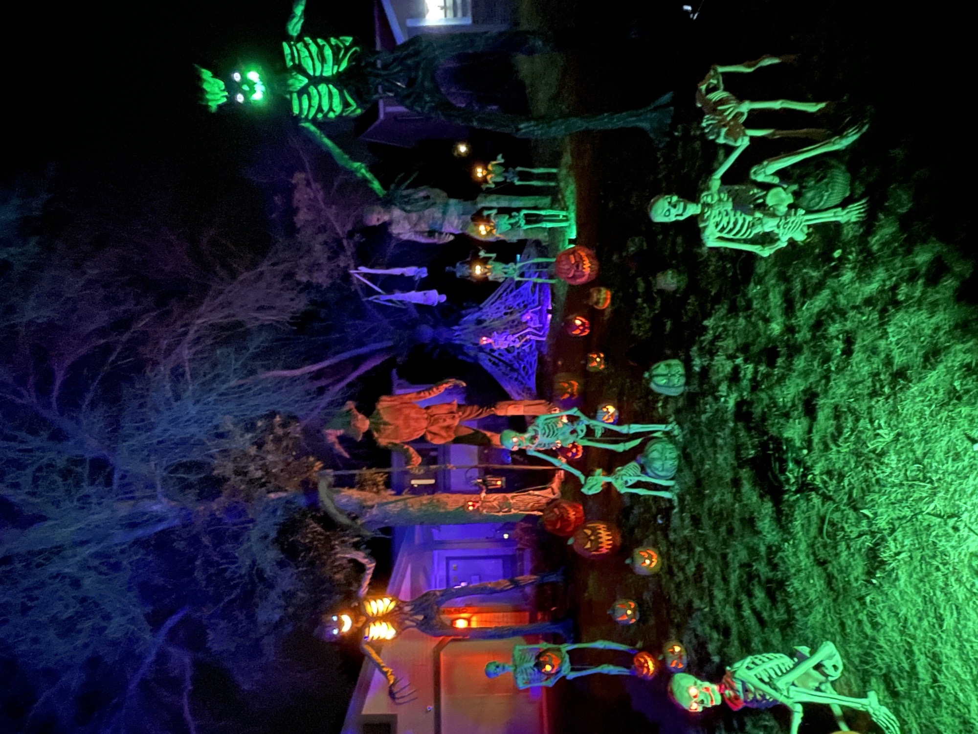 Skeleton Mania!