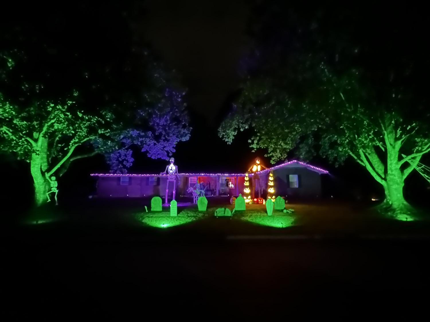 Haunted Oaks