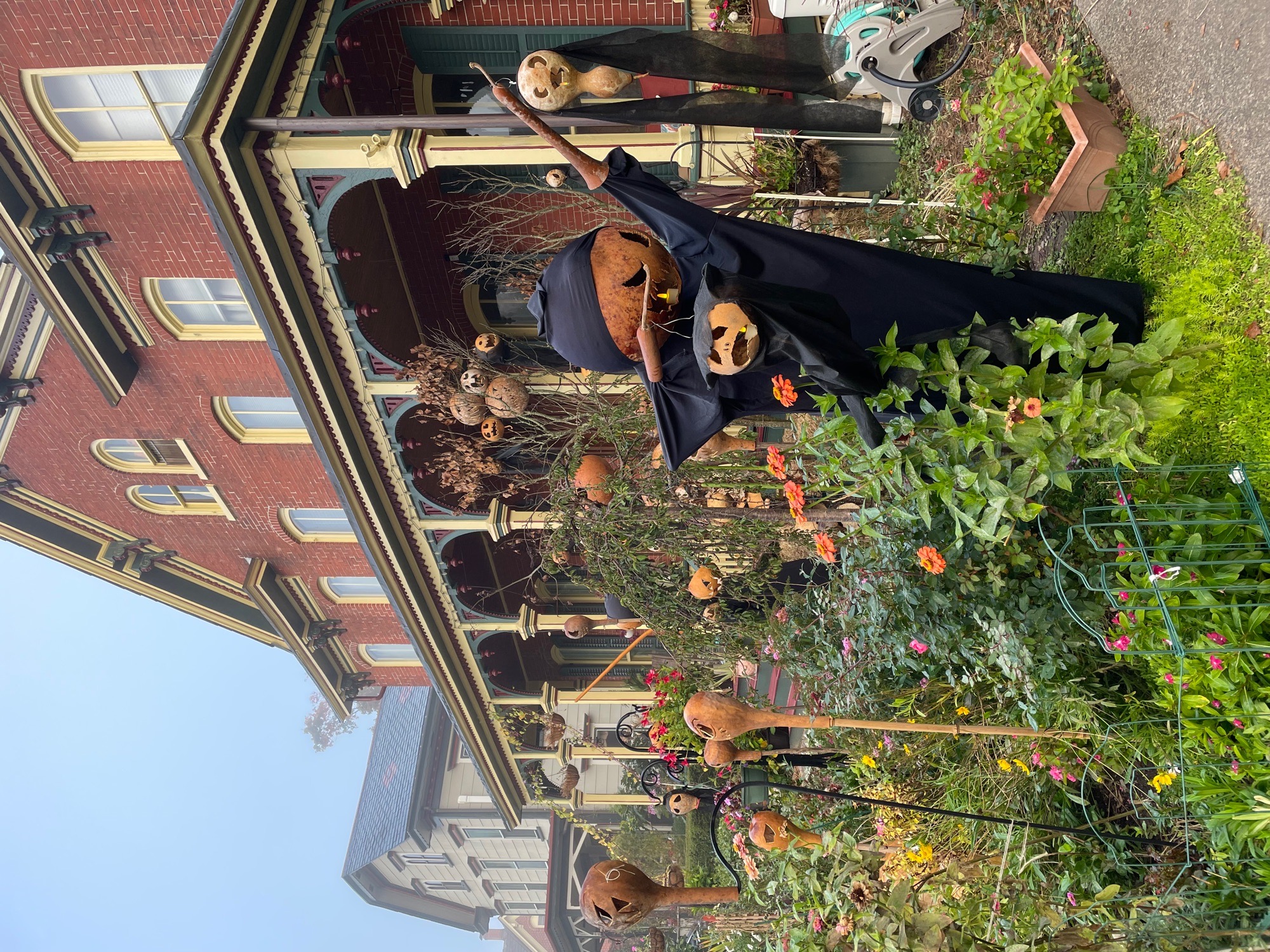 jackolantern jungle